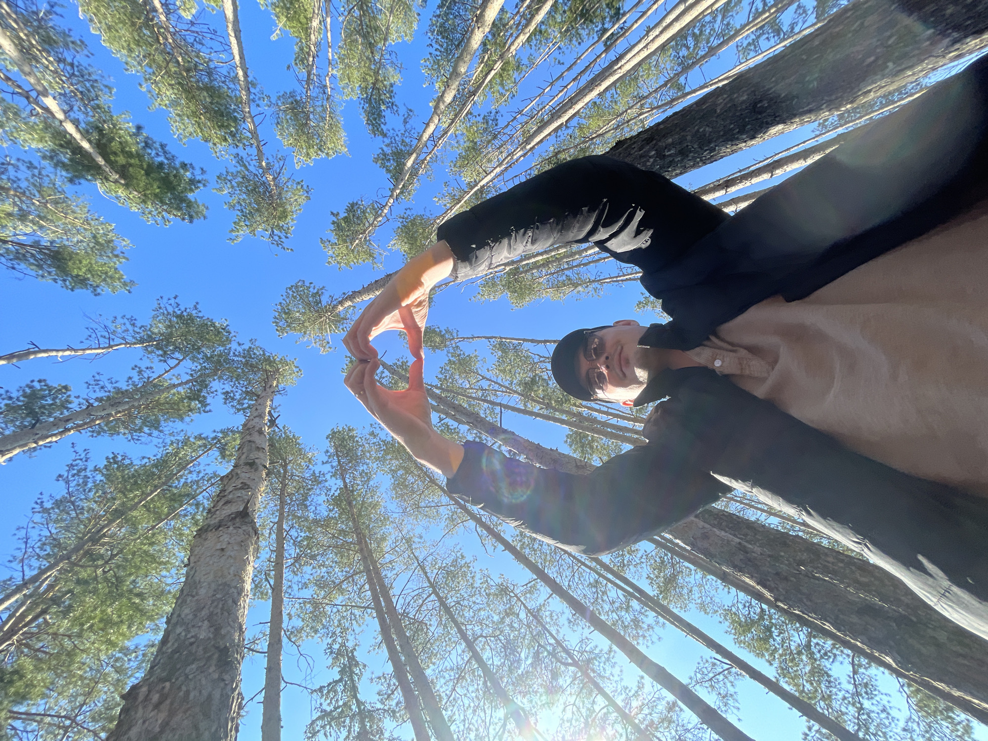 A low-angle shot of an individual outdoors in Подшивалово, Russia. The individual, wearing a dark jacket over a light brown shirt and a dark hat, is holding their hands in a heart shape against a bright blue sky. The environment is a forest of tall, slender trees, their green foliage contrasting with the clear sky. The camera is angled upward, emphasizing the height of the trees.