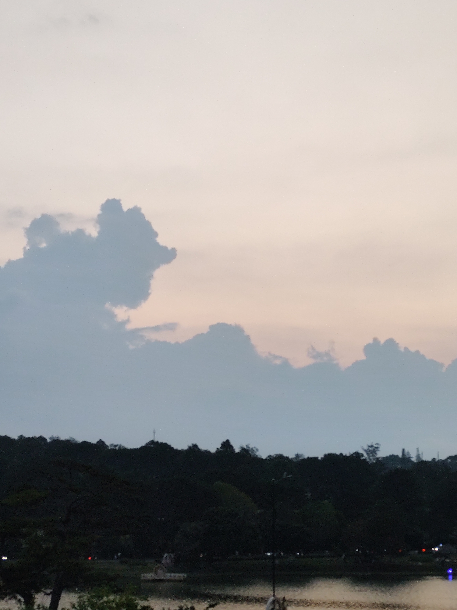 The image captures a landscape view in Da Lat, Vietnam. A lake occupies the lower portion, its surface reflecting the ambient light. The foreground shows partial views of trees and vegetation, obscuring finer details. Beyond the lake, a dark, dense tree line forms a visual barrier. The sky transitions from a light, pale hue near the top to darker shades above the treeline. Clouds are visible, one with a distinctive shape resembling a dog's head. The scene appears to be captured during dusk, indicated by the muted color palette and the dark silhouettes of the trees.