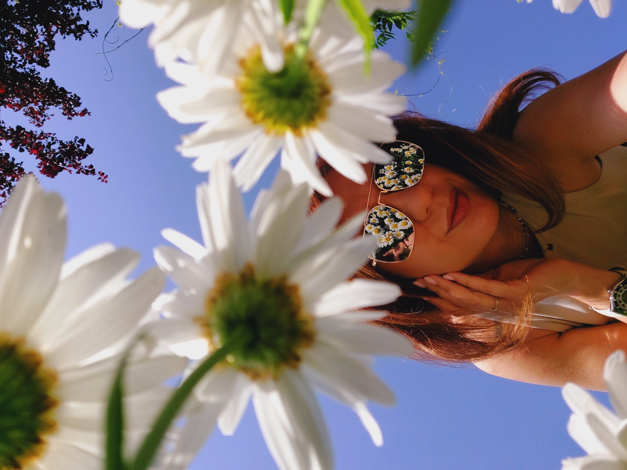 A low-angle, close-up outdoor shot shows a person looking up through a cluster of white daisies. The person, viewed from the chest up, has long, reddish-brown hair and is wearing sunglasses that reflect a field of daisies. The person's right hand is near their ear. The background is a clear blue sky with some dark red foliage visible in the upper right corner. The scene is likely in Sofia, Bulgaria, given the context of the query.