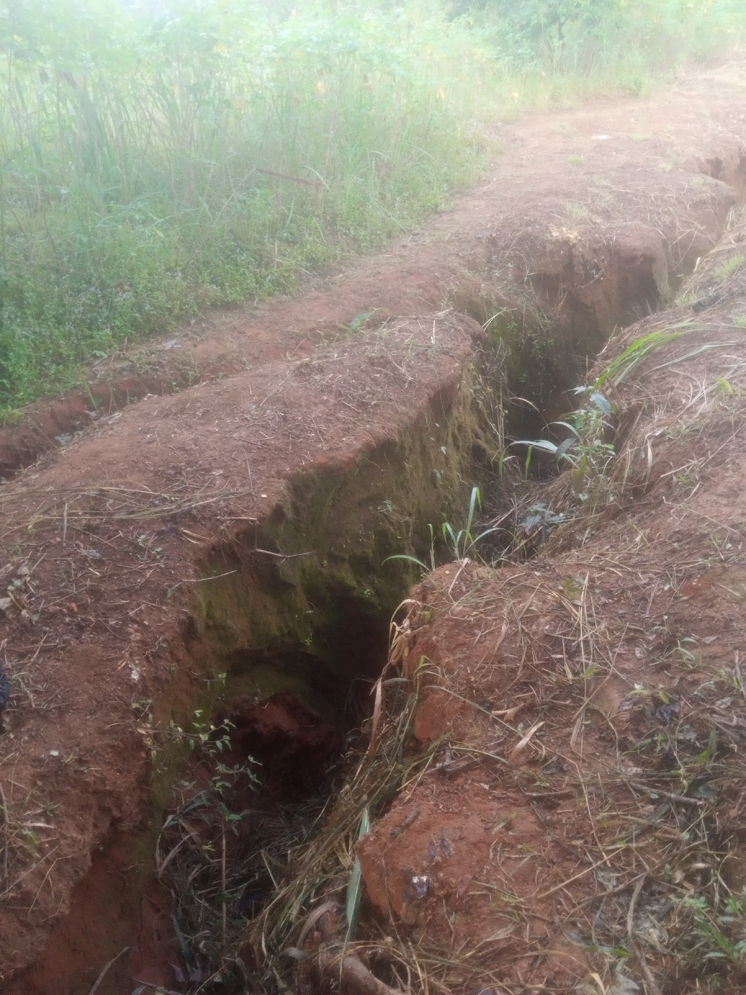 The image depicts a deep erosion gully cutting through a dirt road in Nanka, Nigeria. The gully is characterized by steep, exposed soil banks of reddish-brown clay, with evidence of recent erosion in the form of loose soil and debris. Vegetation, including grasses and some small shrubs, grows along the edges of the gully and on the surrounding terrain. The road itself appears to be unpaved and worn, indicating a rural or undeveloped area. The overall environment suggests an outdoor setting, likely in a natural or semi-natural landscape, with a slightly hazy or overcast atmosphere. There are no people or vehicles visible in the image.