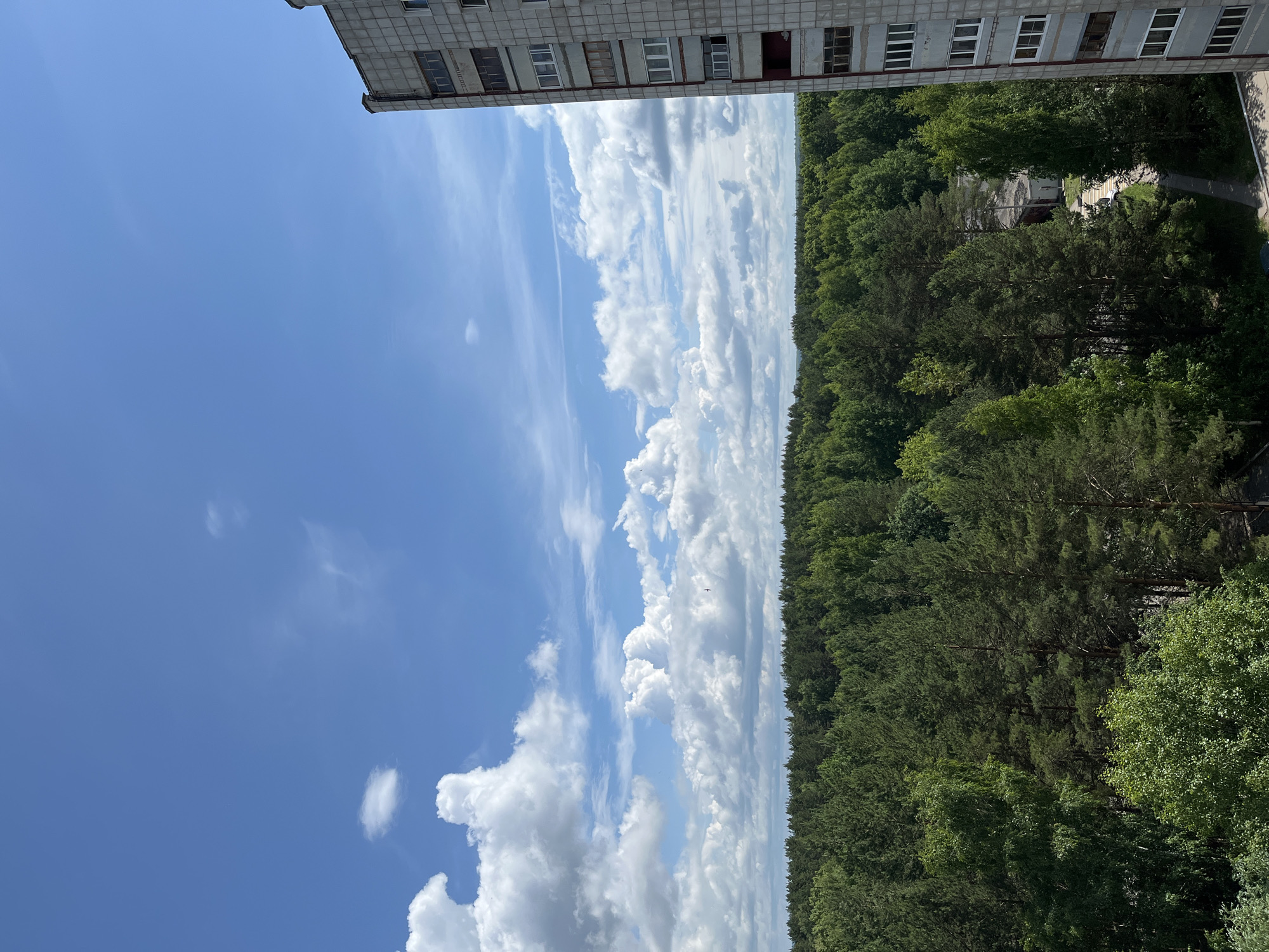 This is an outdoor, eye-level, medium shot of a forest bordering a residential building in Chaikovsky, Russia. The sky is mostly clear with scattered white clouds. The residential building, made of concrete with multiple windows, takes up the right side of the frame. A dense, green forest stretches across the middle ground. A few buildings and a road are visible within the forest. The image appears to have been taken on a sunny day.