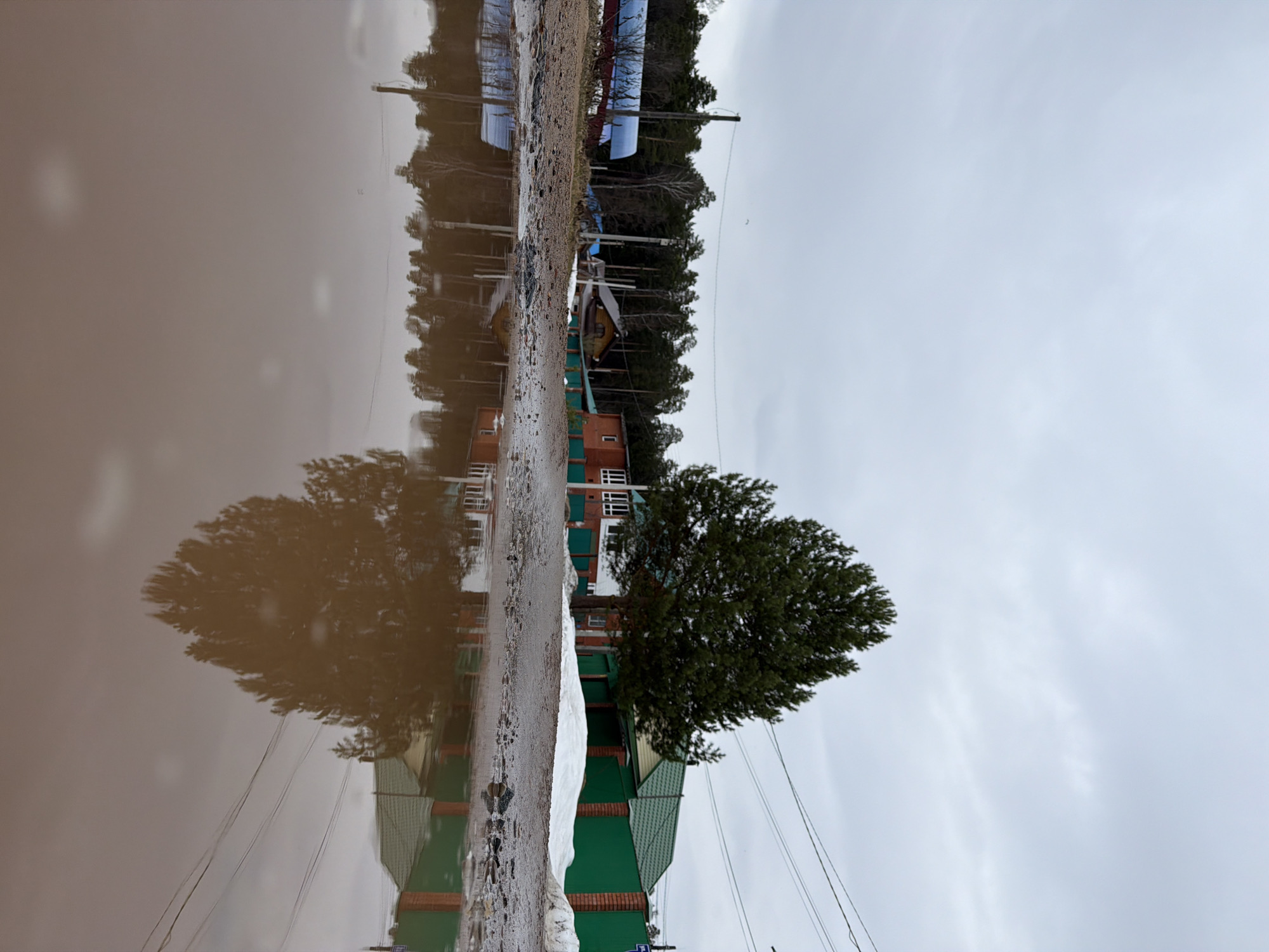 The image appears to be a reflection in a puddle of a building and trees under an overcast sky. The building is two-storied, with a green base and a brick-and-white upper section. A large, dense green tree is positioned adjacent to the building. Power lines run through the scene. The location is Chaikovsky, Russia.