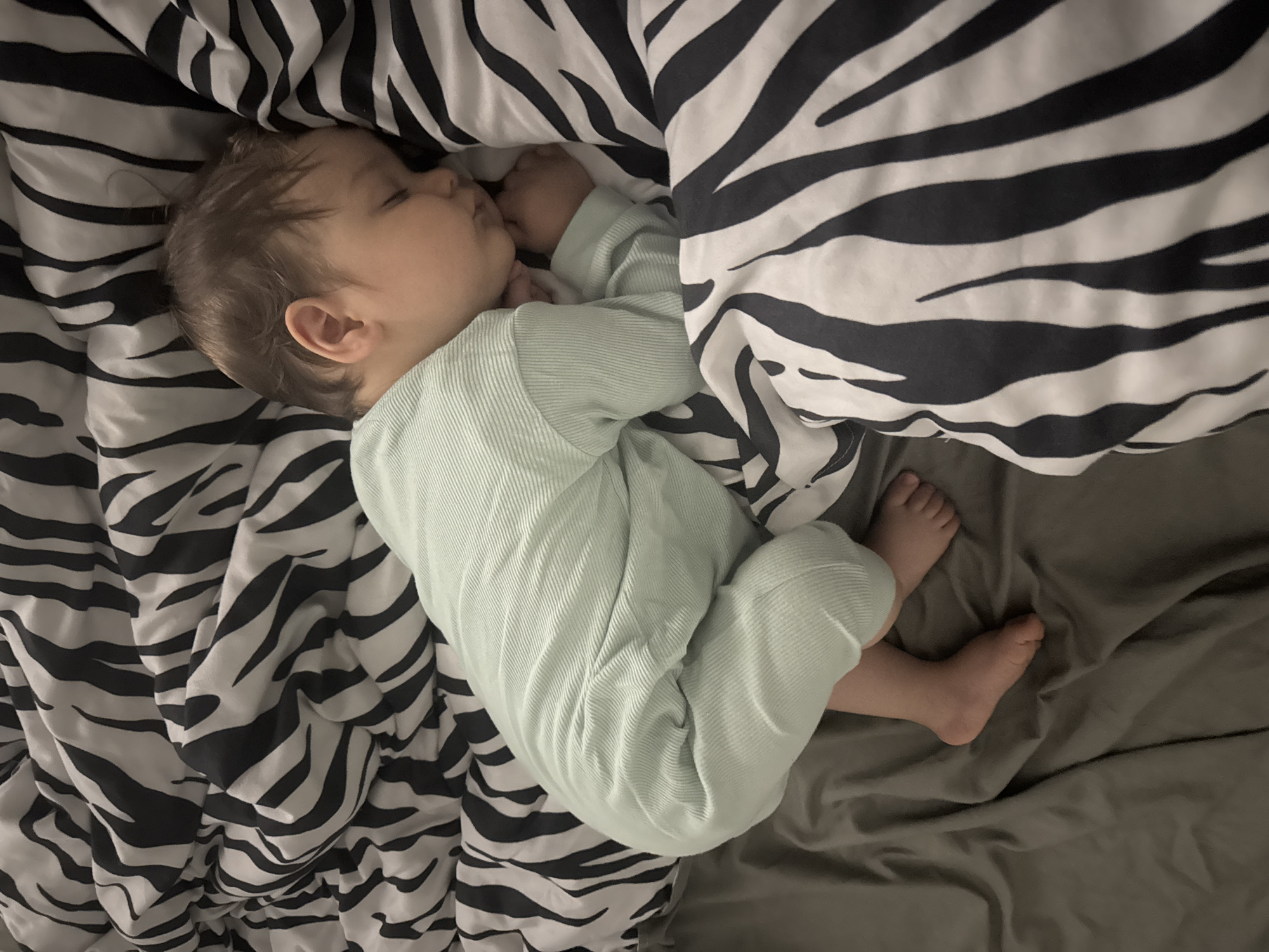A baby is sleeping on a bed with a zebra-striped blanket. The baby is lying on its side, with its face turned away from the camera. The baby is wearing a light green, long-sleeved garment. The bed also has a gray sheet.
There is no indication of the image being taken in Berkovitsa, Bulgaria.