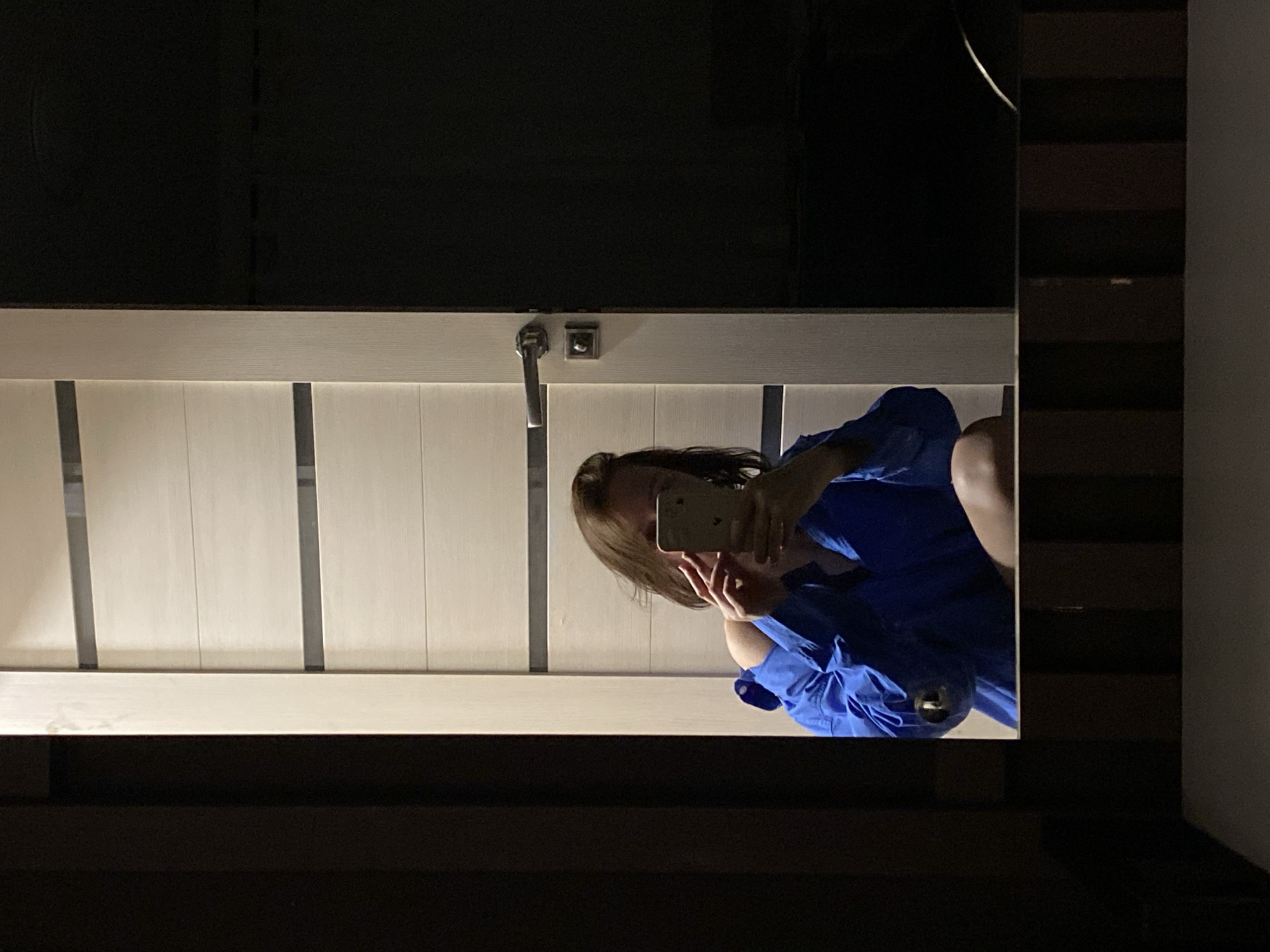 A person in a blue shirt is taking a selfie in a mirror. The background includes a door with vertical paneling and dark, partially visible surrounding walls. The location is unknown and not discernible from the image.