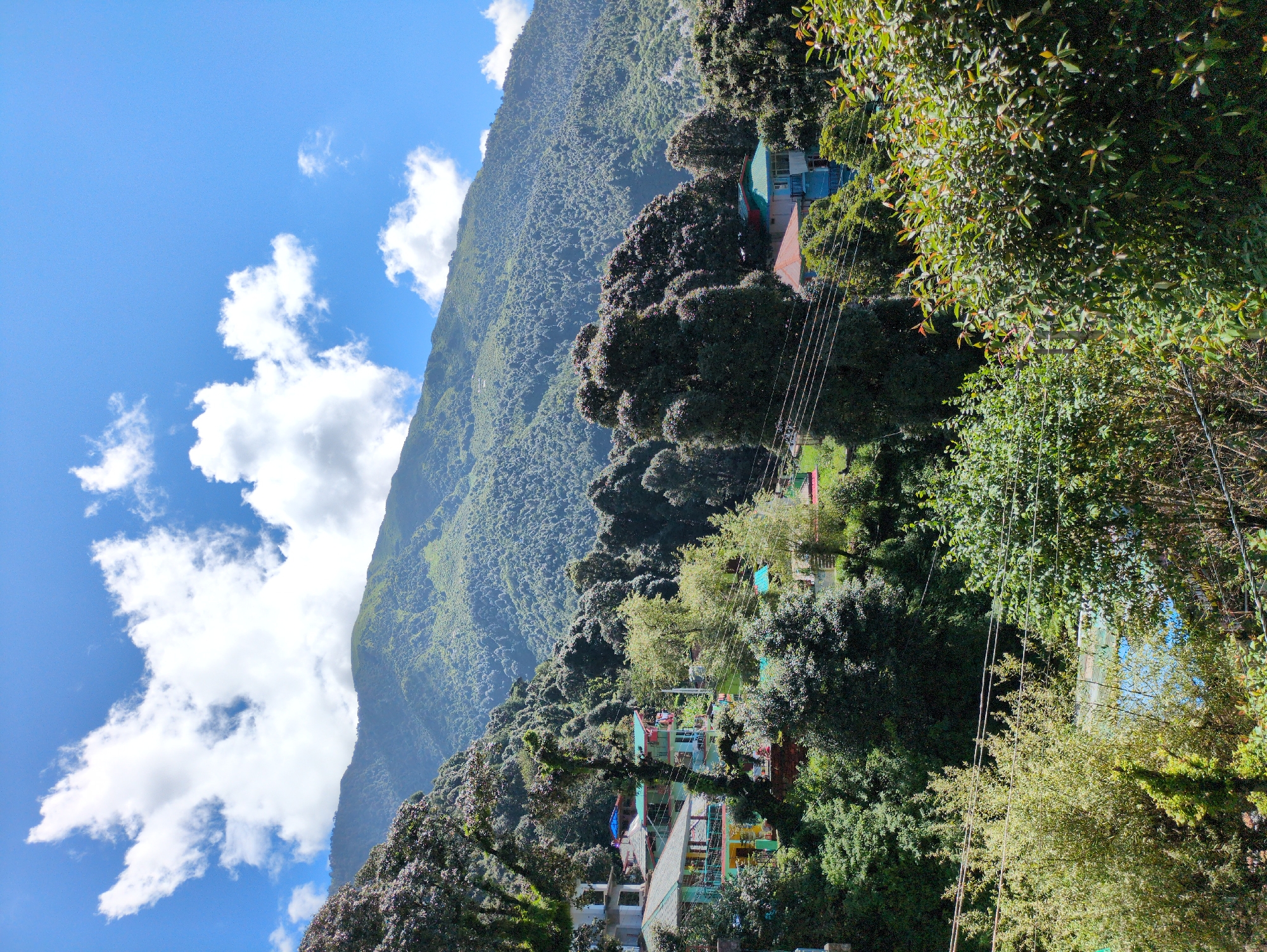 The image depicts a mountainous landscape in the city of Haini, India, under a clear blue sky with scattered white clouds. The foreground is dominated by lush green foliage, with trees and bushes of varying heights. Several houses, painted in vibrant colors like yellow, green, and blue, are nestled on the slopes of the mountain, surrounded by trees. A prominent feature is the steep, verdant mountain range that occupies the background, covered in dense vegetation. Power lines are visible running horizontally across the scene, traversing the mountainous terrain. The overall scene suggests a serene, natural environment with human habitation integrated into the landscape.