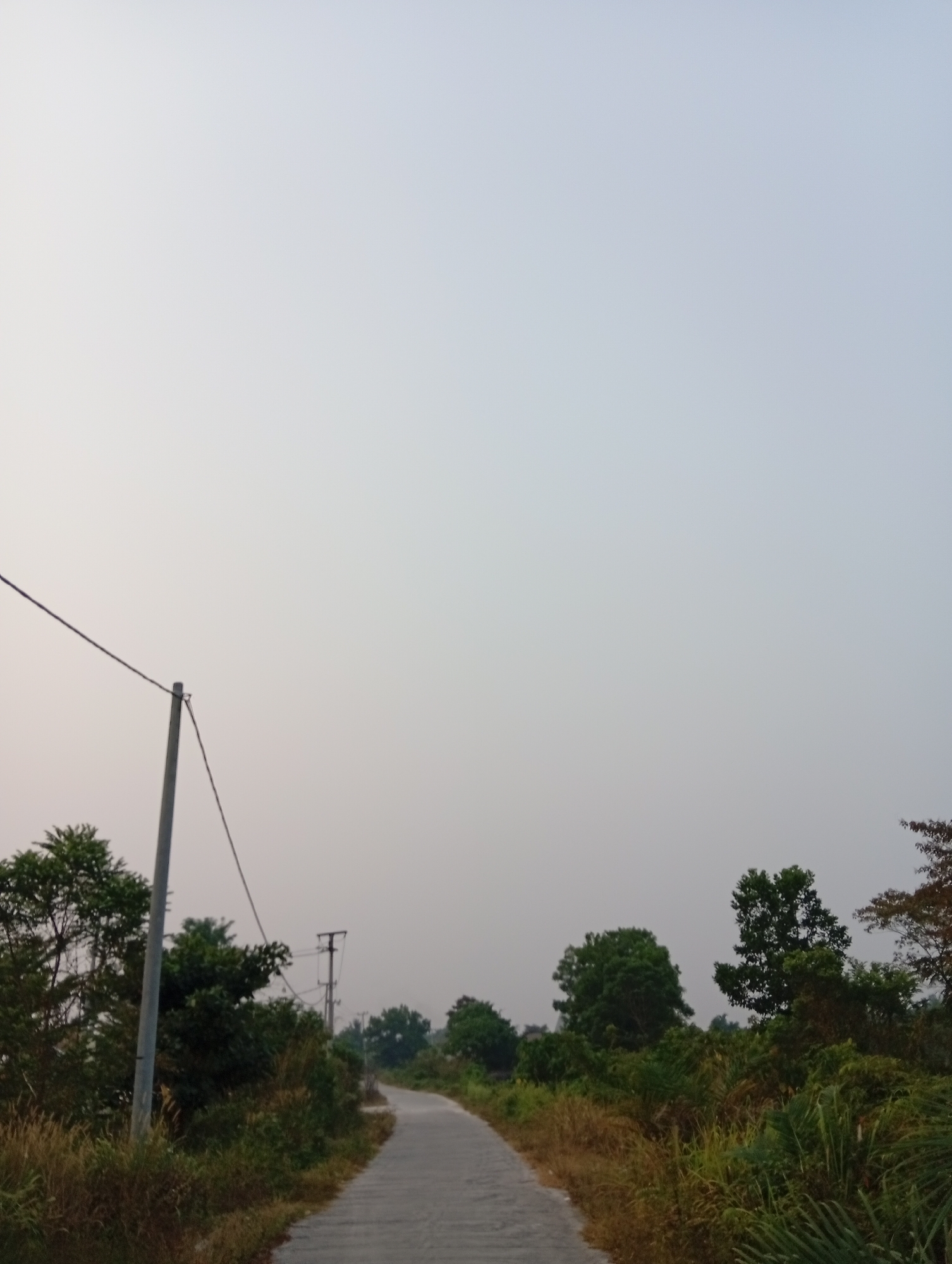 The image depicts a rural road in Kualu, Indonesia, under a hazy, overcast sky. The road, paved with light gray material, curves gently into the distance, bordered by dense vegetation on both sides. Tall grass and various leafy plants flank the road, with trees of different heights interspersed throughout the landscape. A prominent utility pole stands on the left side of the road, with wires extending from it. Further down the road, another utility pole with crossbars is visible. The overall atmosphere is subdued, suggesting either early morning or late afternoon light, with no people or animals present in the scene. The vegetation appears lush, typical of a tropical environment.