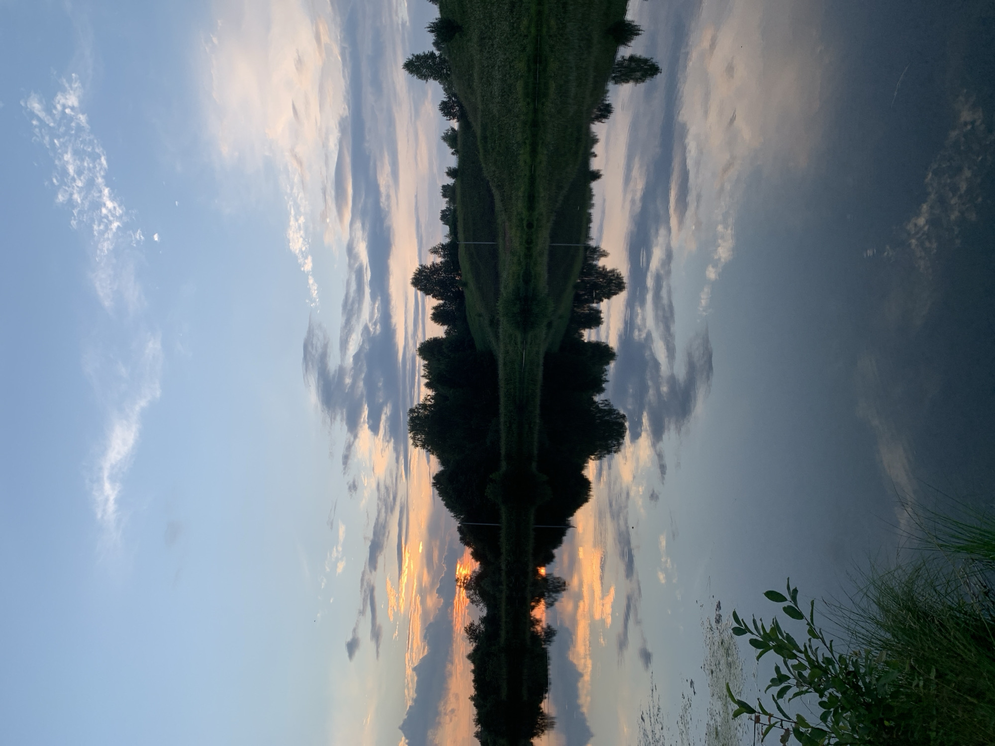 The image depicts a serene lake at sunset in Zasechnyi, Russia. The sky is a gradient of soft blues and pinks, with scattered clouds reflecting on the calm water. The shoreline is lined with lush green trees and rolling hills, creating a picturesque natural landscape. In the foreground, there is a cluster of green leaves and tall grass on the left side of the frame. There are no people or animals visible in the scene, and no actions or interactions are taking place. The overall atmosphere is tranquil and peaceful.