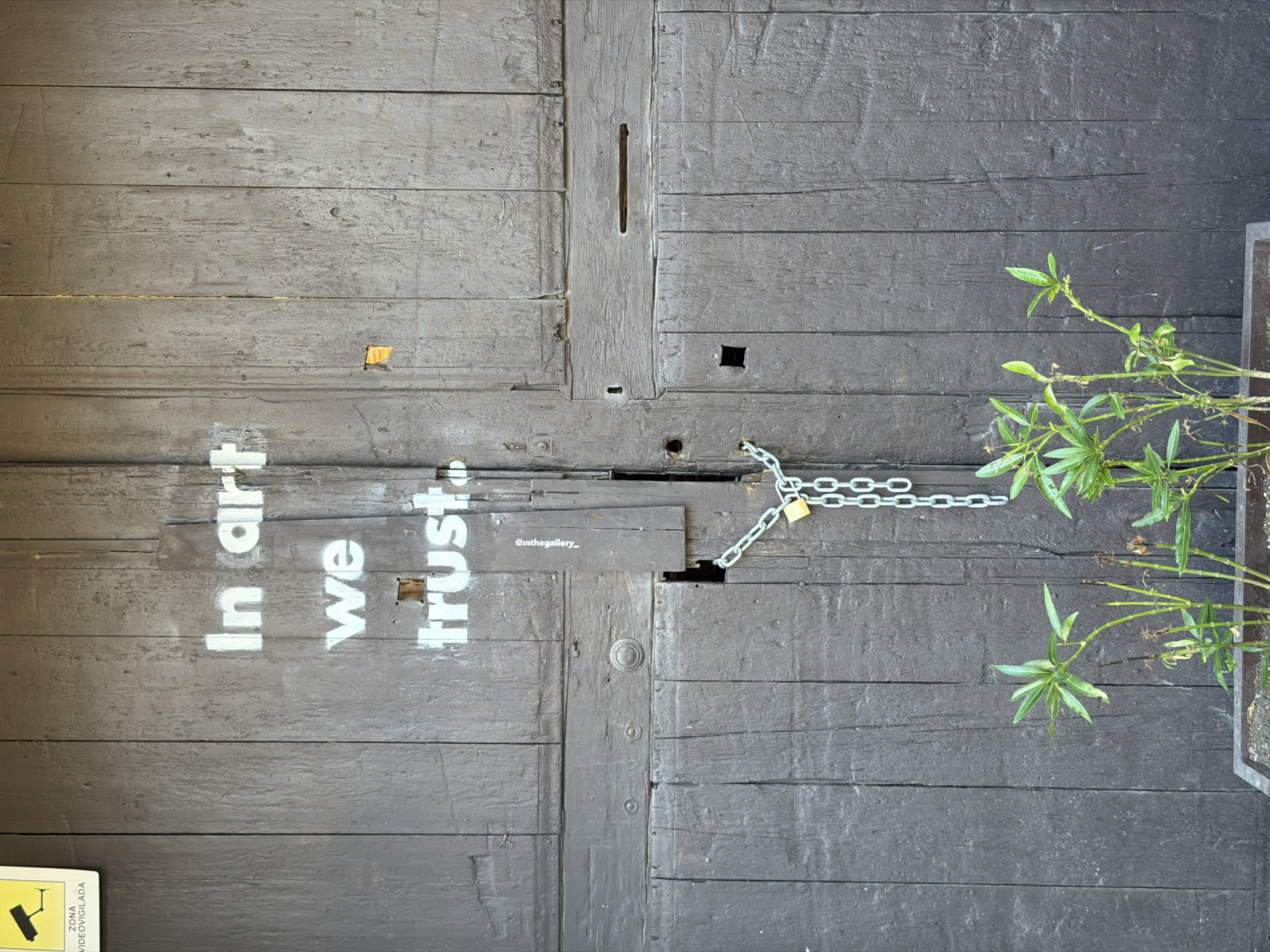 The image captures a weathered, dark wooden door in Palma de Mallorca, Spain. The door is divided vertically by a central seam, with a horizontal plank about midway up. On the upper section of the door, the words "In art we trust" are spray-painted in white, stencil lettering. To the left of the text, a yellow and black security camera sign with the text "ZONA VIDEOVIGILADA" is affixed to the door. A silver chain with a gold padlock secures the door, draped through a latch mechanism located on the central seam. Below the door, a rectangular planter contains several small, green plants with thin stems. The overall impression is one of aged urban architecture and artistic expression.