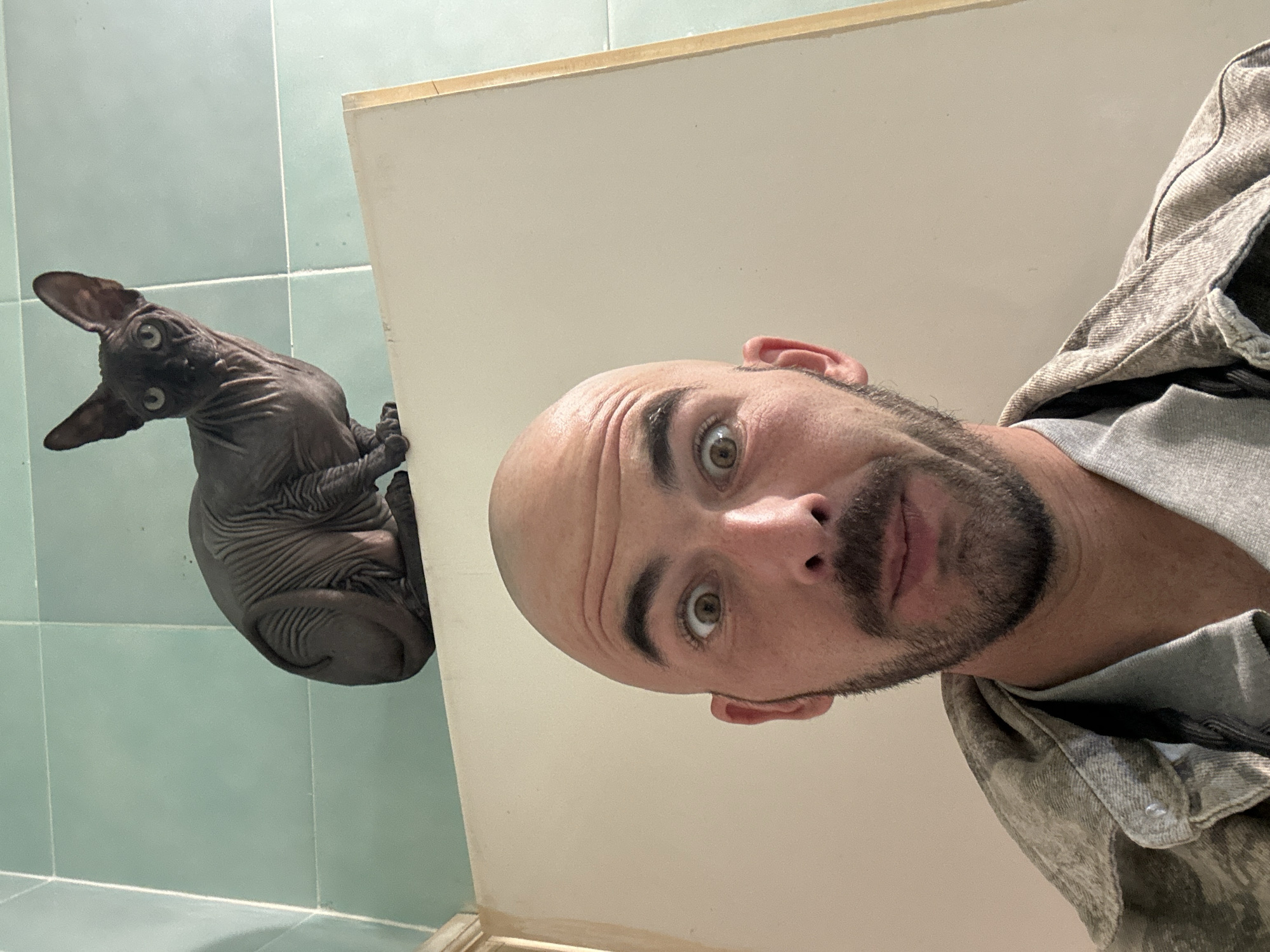 A selfie taken in a bathroom, likely in a residential setting, features a bald man with a beard looking directly at the camera with a slightly surprised expression. Next to him, on the left, is a hairless Sphynx cat with dark skin. The cat is curled up, looking upwards with alert eyes. The background consists of light green tiled walls and a white surface, possibly a countertop or the side of a cabinet. The man is wearing a grey t-shirt and what appears to be a camouflage jacket. There is no information to suggest the location is in Budva, Montenegro.