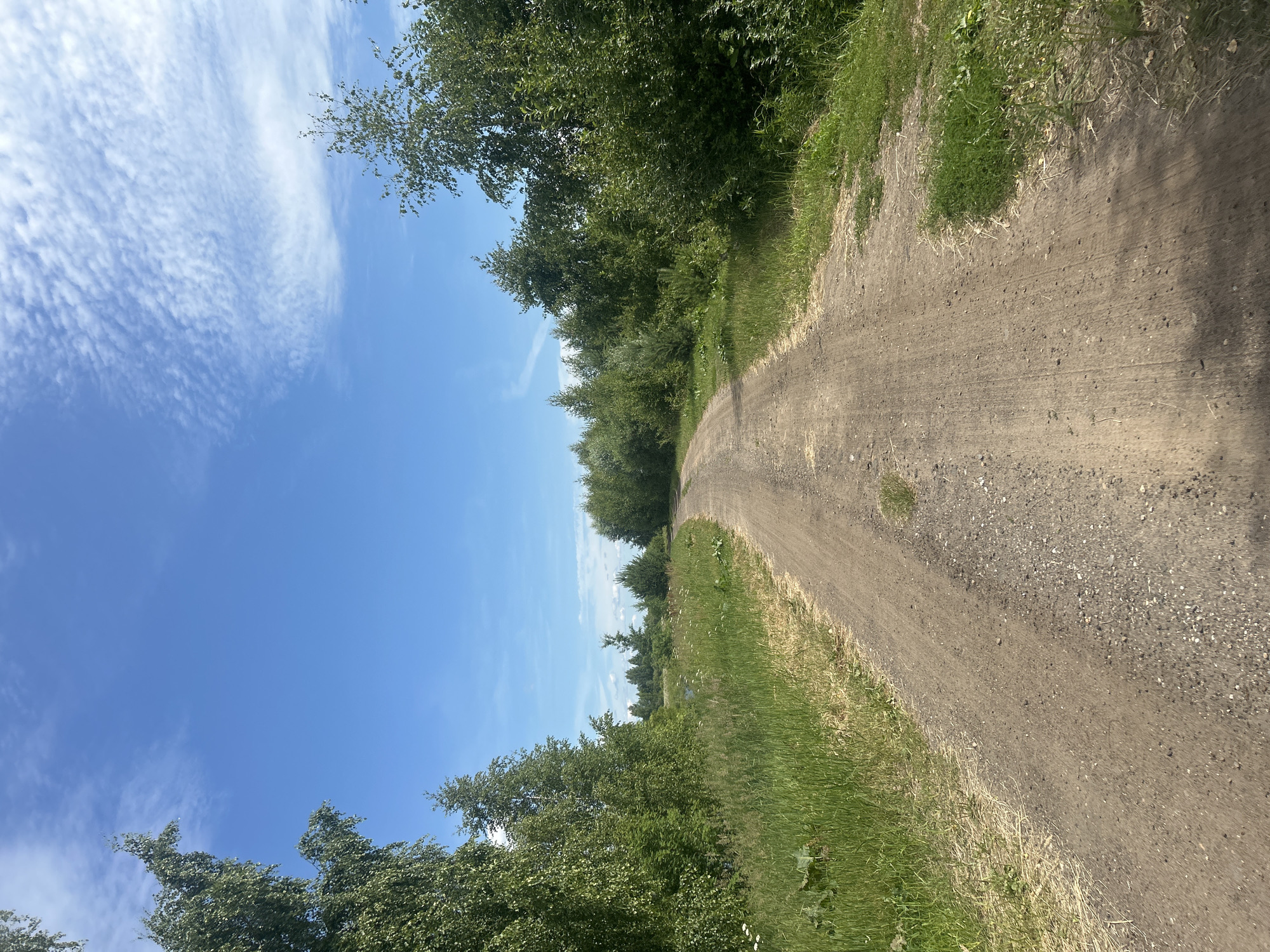 The image depicts a dirt road winding through a rural landscape under a bright blue sky with scattered white clouds. The road is flanked by lush green vegetation, including tall trees and thick grass. The scene suggests a natural, undeveloped area, possibly on the outskirts of a settlement. The specific location in the city of Shachebol, Russia, cannot be determined solely from the visual information in the image. There are no people, animals, or man-made structures visible, apart from the dirt road itself. The overall impression is one of a peaceful, sunlit day in a natural setting.