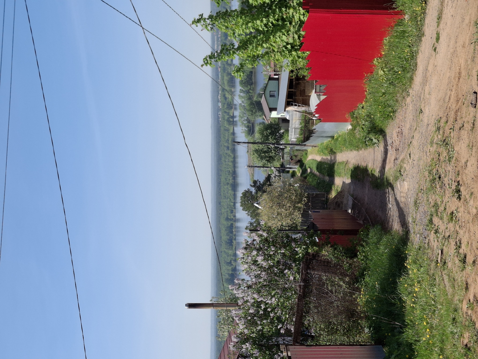 A dirt path with a red fence to the right leads away from the viewer. Wires stretch across a blue sky on the left, and a distant river is visible in the background. In the foreground, there are overgrown bushes and flowering plants along the path. Houses and a red fence are on the right. The location appears to be Chaikovsky, Russia.