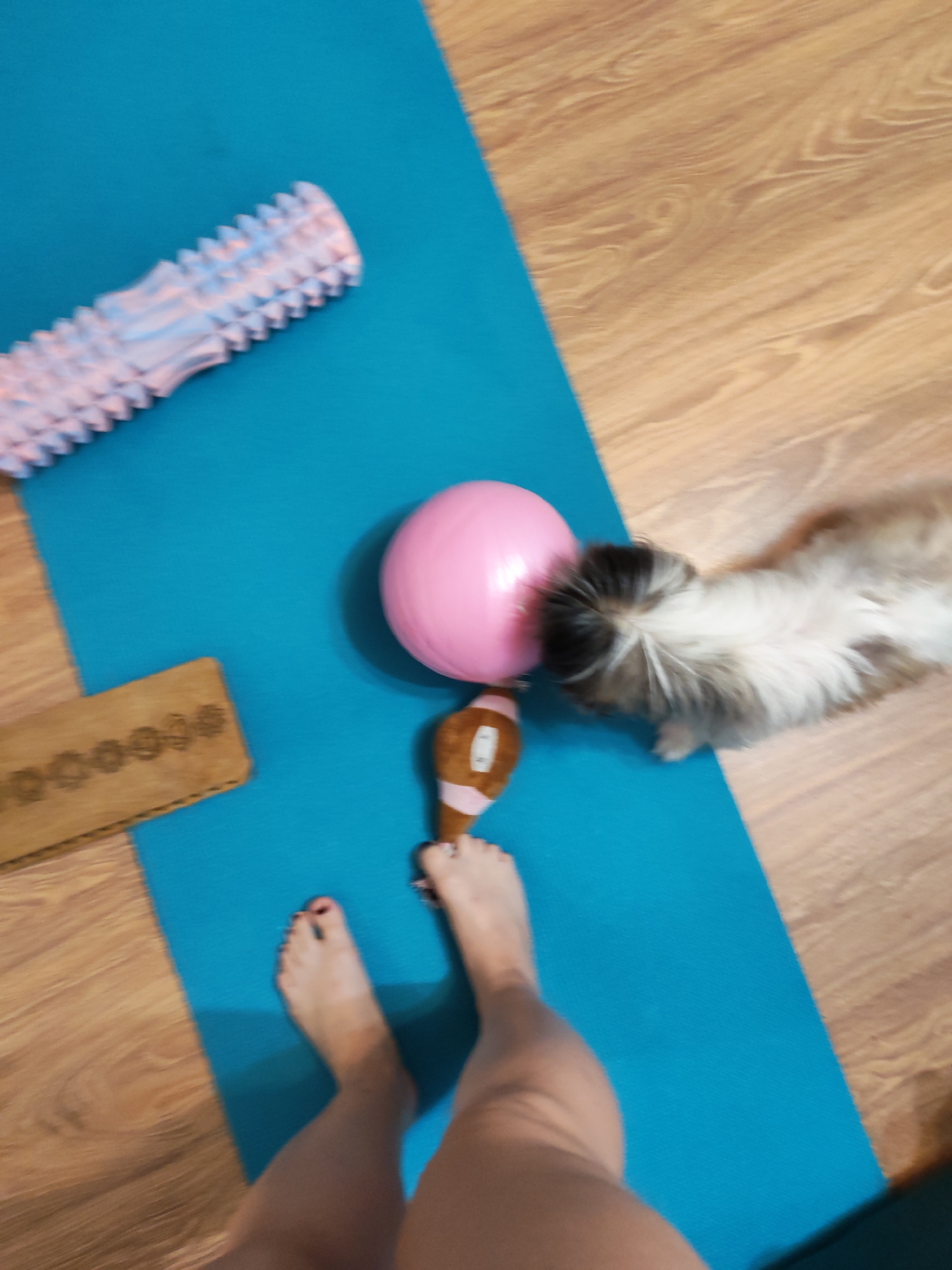 The image depicts a top-down view of a turquoise yoga mat on a wooden floor, likely in a residential setting in Izhevsk, Russia. On the mat, there are several objects: a textured pink foam roller is positioned at the top left, a pink exercise ball is in the center, and a brown, oblong-shaped object with a pink tip lies next to it. To the left of the exercise ball, a rectangular wooden block with embossed patterns is visible. A small, fluffy dog with predominantly white fur and black markings on its head is sniffing the exercise ball. In the foreground, the bare legs and feet of a person are visible, with their toes painted in dark red polish. The person is standing on the yoga mat. The lighting appears to be from above, casting subtle shadows.