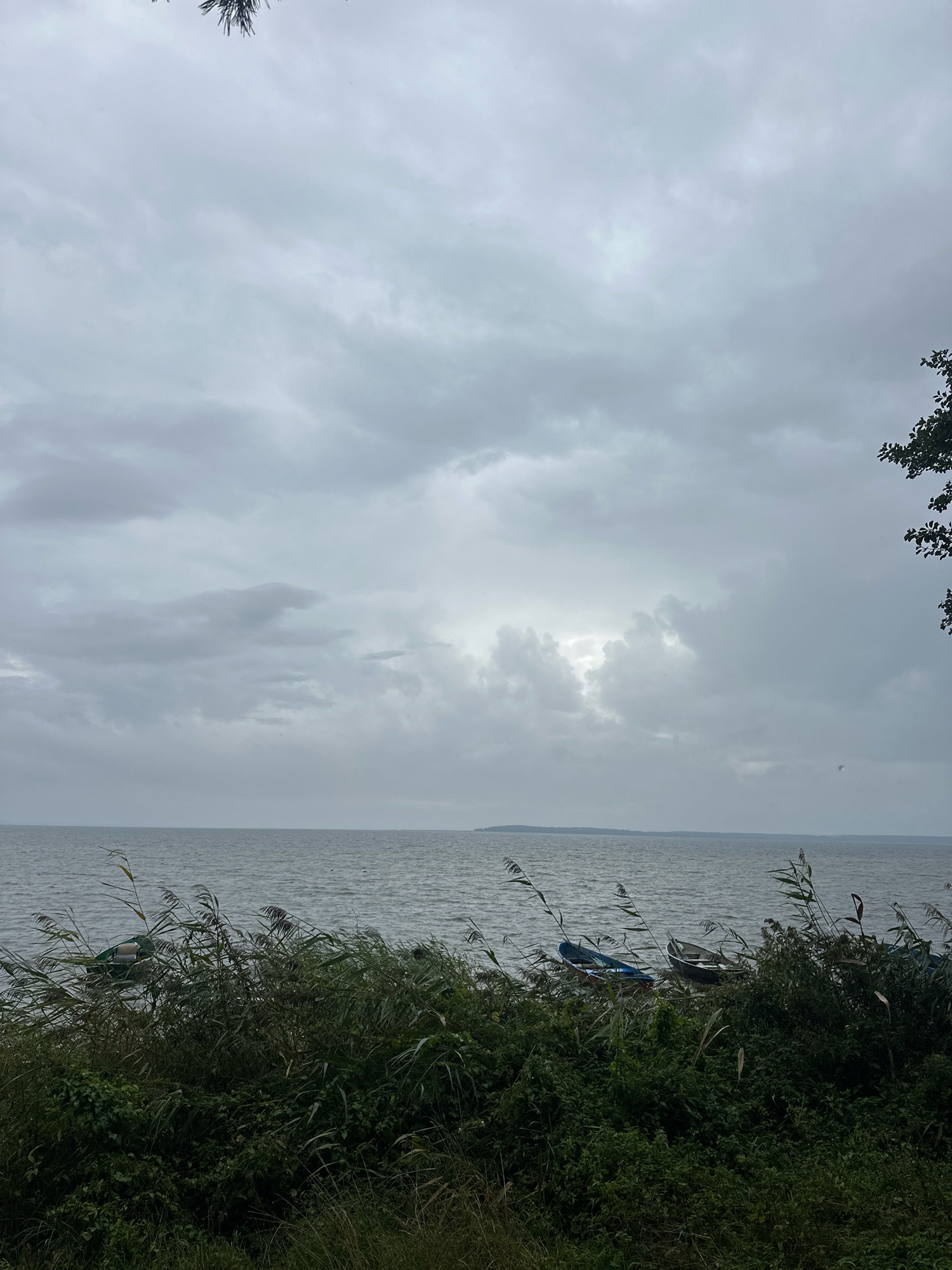 The image depicts a cloudy, overcast sky over a body of water, likely a lake, at the Нарацкі сельскі Савет in Belarus. In the foreground, dense green vegetation and reeds line the shore. Several small boats are moored or resting on the shore, partially obscured by the foliage. One boat, a light green color, is visible in the water to the left, while several others, including a blue one, are closer to the shore on the right. The water appears slightly choppy. The overall scene is natural and serene, with a hint of the approaching weather due to the heavy cloud cover. There are no people visible in the image.