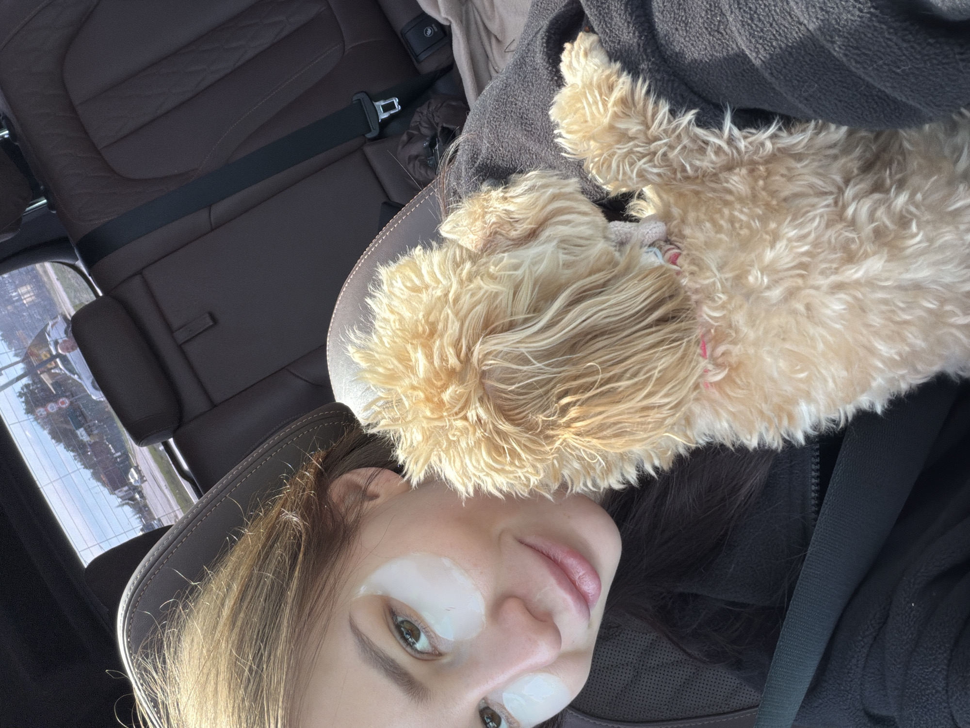 This close-up selfie, taken in Мокшино, Russia, captures a serene moment inside a car. The primary subject is a young woman, seen from the chest up, with brown hair and light-colored eyes, looking directly at the camera. She wears white under-eye patches, suggesting a skincare routine. Her expression is relaxed, with slightly parted lips.
Nestled comfortably on her shoulder or head is a small, curly-haired dog, likely a poodle or similar breed, with light beige or tan fur. The dog appears calm, possibly resting or sleeping.
The setting is the interior of a vehicle, identifiable by dark brown leather seats featuring quilted stitching and a visible black seatbelt. Bright sunlight illuminates the scene, casting highlights on the woman's hair and the dog's fur, indicating daytime. Reflections in the car window show a blurred outdoor environment, including trees, buildings, and a distant, indistinct red circular sign that might contain the number "300." The overall atmosphere is tranquil. No clear, legible text is visible in the image.