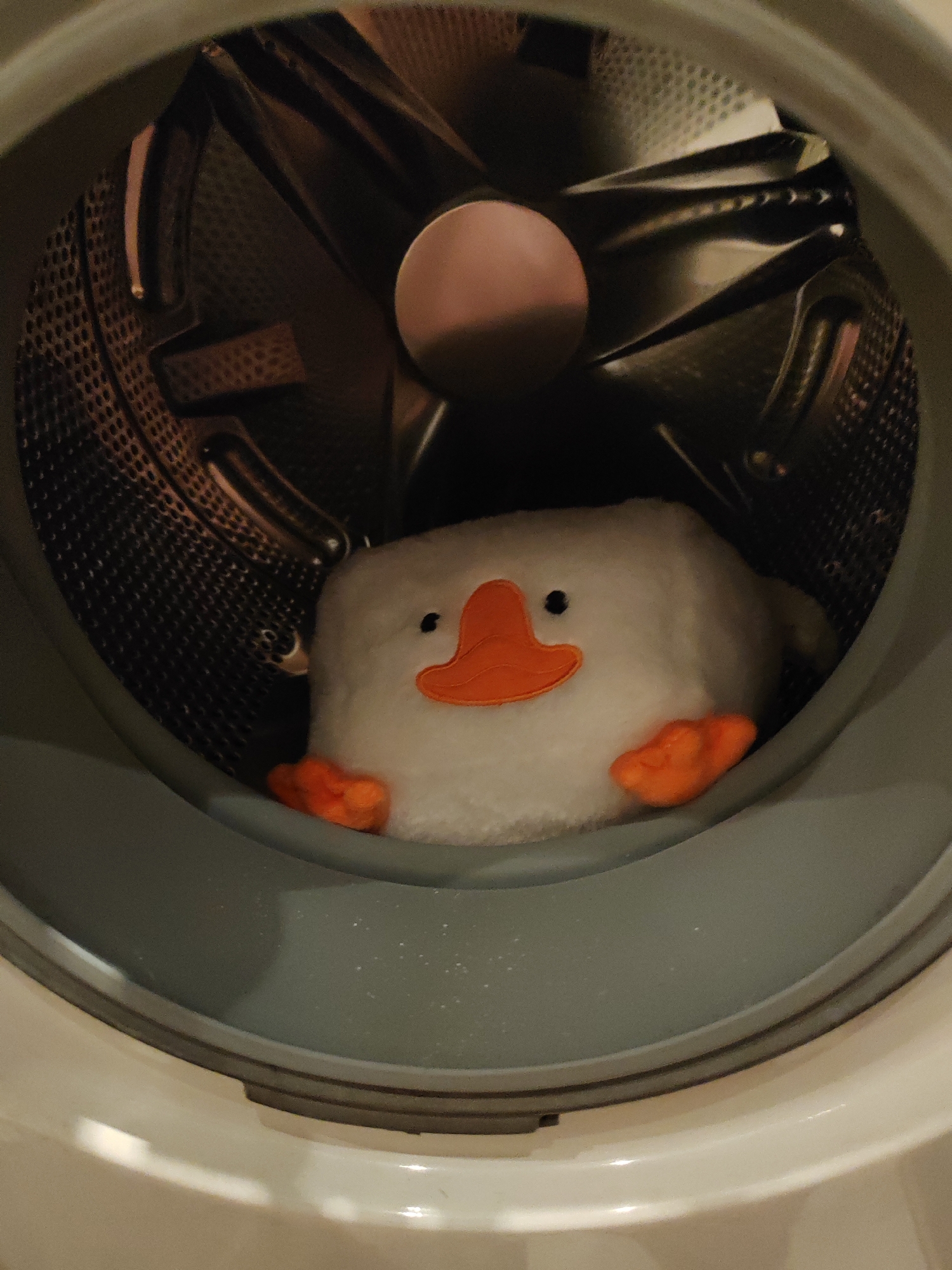 A fluffy white plush toy resembling a duck with orange feet and beak is positioned inside a washing machine drum. The toy is centered in the frame, with its body occupying the lower half of the drum. The washing machine drum features a textured metal interior with visible perforations and raised paddles. The opening of the washing machine is visible, with a grey rubber seal and part of the white exterior of the appliance in the foreground. The lighting is dim, casting shadows within the drum and highlighting the texture of the metal. The image does not contain any elements that place it in Kemerovo, Russia.