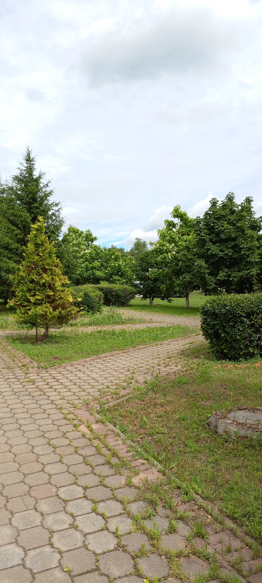 This media file depicts an outdoor park scene on a cloudy day. The main subjects are various types of trees, including tall evergreen trees, a conical evergreen tree with yellow-green foliage, and deciduous trees with lush green leaves and some white flowers. Several manicured bushes are also present. A paved pathway made of interlocking hexagonal and rectangular concrete pavers winds through the scene, with grass and weeds growing between the stones and along the edges. The setting appears to be a public park or garden area, possibly in a temperate climate given the foliage. There are no people or animals visible. The overall mood is peaceful and natural. The time of day is unclear due to the overcast sky, but it appears to be daytime. The weather is cloudy, with patches of lighter sky suggesting the clouds may be breaking. There is no visible text in the image.