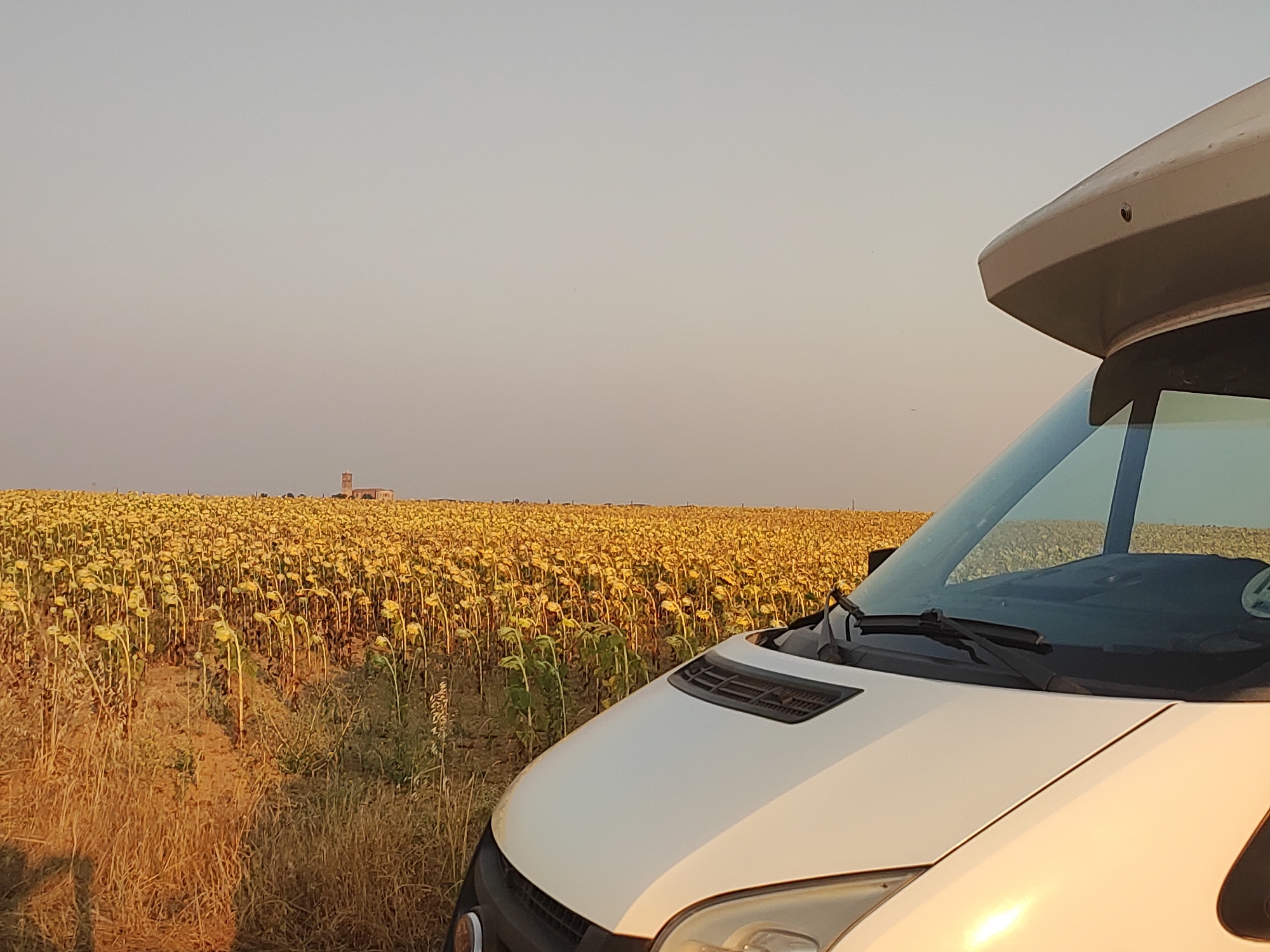A white camper van is parked on a dirt road next to a vast field of sunflowers. The sunflowers are mostly wilted, with their heads drooping downwards. In the distance, a building with a tall tower, possibly a church or a silo, is visible on the horizon. The sky is a pale, hazy orange, suggesting it is either sunrise or sunset. The scene appears to be in a rural area. The location is Autillo de Campos, Spain.