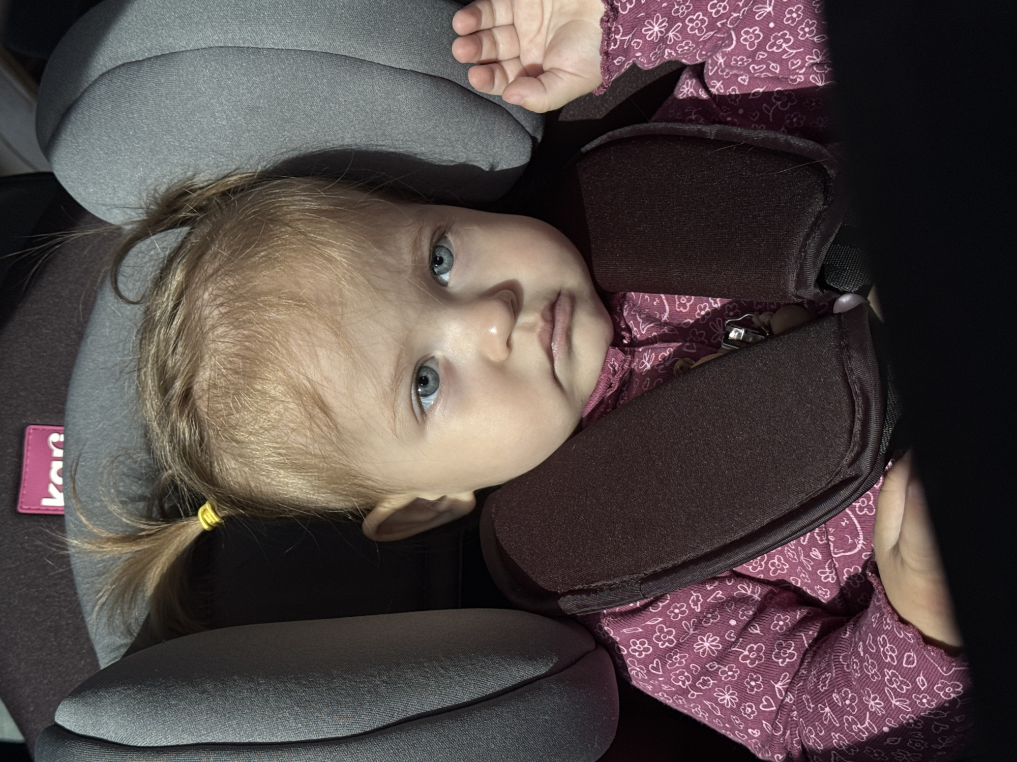 A high-angle, top-down shot captures a young child, likely a toddler, seated in a car seat. The child has light blonde or light brown hair tied into two small pigtails with yellow elastic bands, and striking blue eyes that look directly towards the camera with a neutral expression.
The child is wearing a long-sleeved purple shirt adorned with a pattern of small white outlined flowers and hearts. They are securely fastened in a car seat, which features soft, grey-colored padded sections for head and back support, and dark brown padded shoulder straps across their chest. The car seat appears to be in a reclined position.
On the left side of the car seat's grey fabric, a pink label with white text, partially visible, appears to read "KAN" or "KID". The surrounding areas of the frame are dark and indistinct, suggesting the enclosed interior of a vehicle, likely a car. The soft, natural light illuminating the child's face indicates it is daytime. The scene shows the child traveling in a car seat in Chaikovsky, Russia.