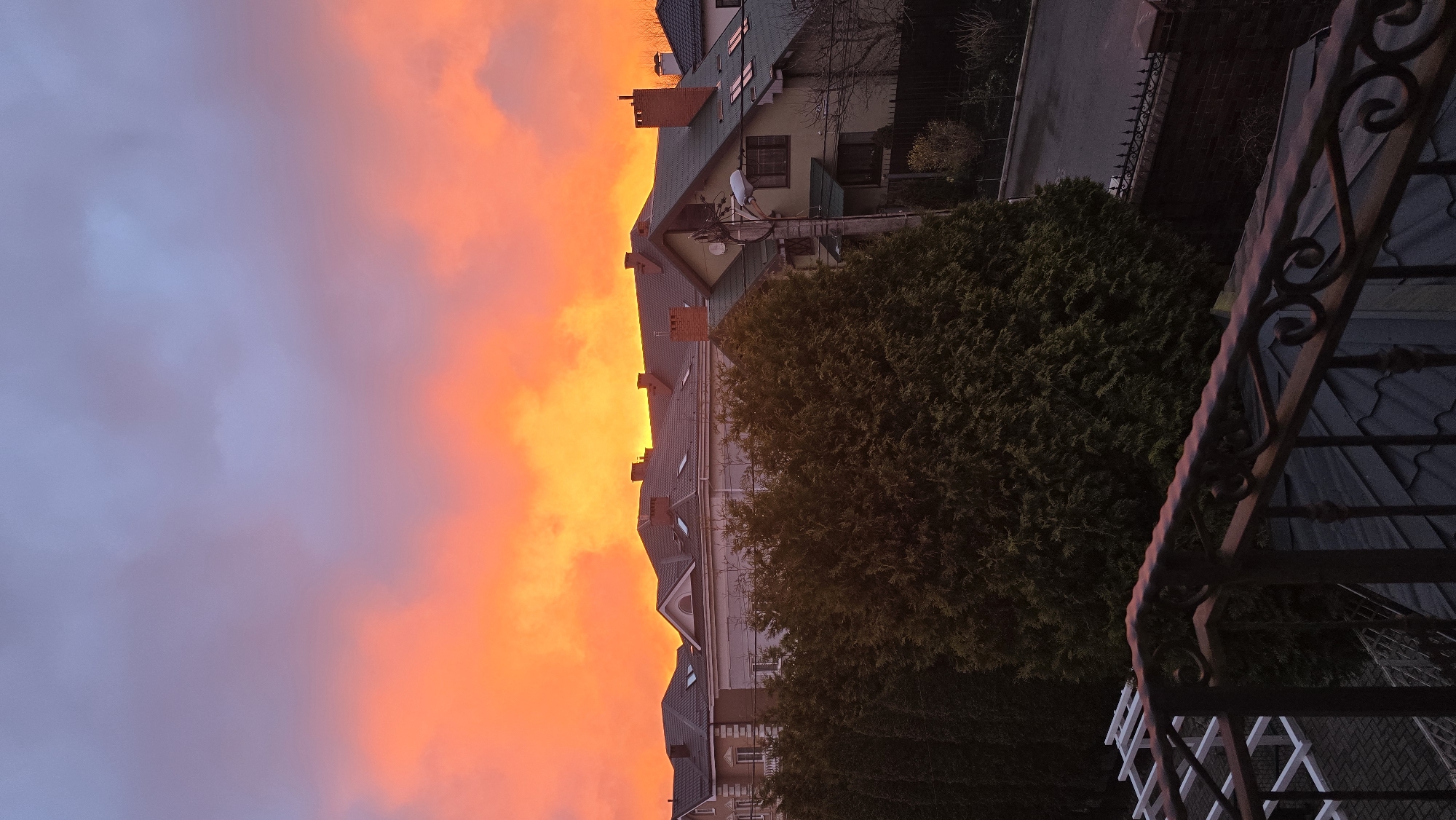 A photograph, rotated 90 degrees, depicts a cityscape at dusk or dawn, possibly in Kaliningrad, Russia. The sky to the left is ablaze with fiery orange and yellow hues, contrasting with areas of violet-tinged cloud cover. Buildings, seemingly apartments or residences, stand against the backdrop of the sky. The structures, constructed with brick, exhibit sloped roofs with prominent chimneys. Satellite television is present. A dark green, dense evergreen tree partially obscures a section of the buildings. A wrought-iron railing is visible on the right edge, indicating the viewpoint is likely from a balcony or elevated platform.