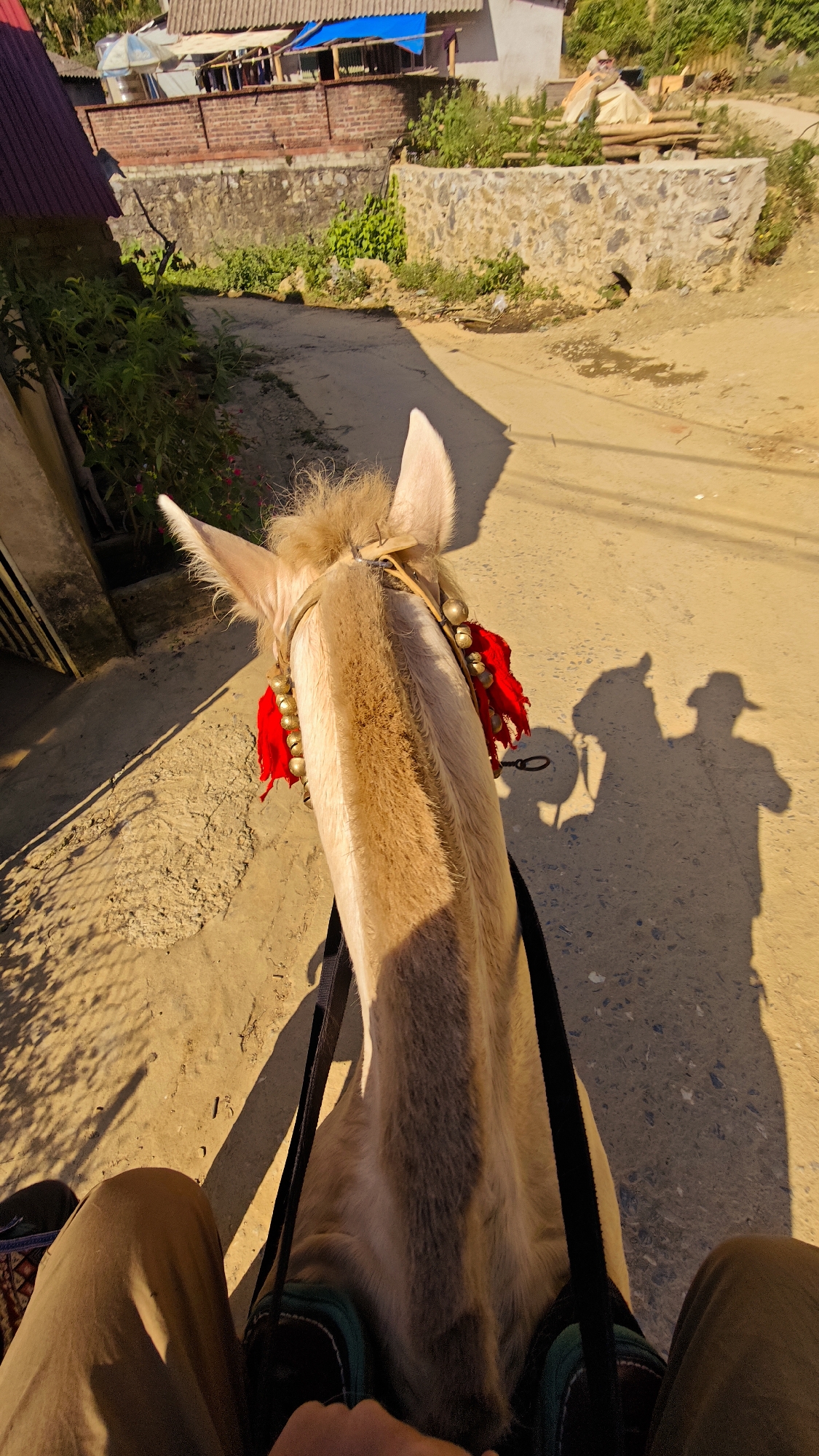 A first-person view from atop a light-colored horse, likely in Bắc Hà, Vietnam, given the architectural style in the background. The horse has decorative bells and red tassels on its headstall. The rider wears tan pants. The horse and rider's shadow falls on a dirt road, suggesting a sunny day. A stone wall and vegetation line the side of the road. Structures with red tile and blue tarp roofing are visible in the background.