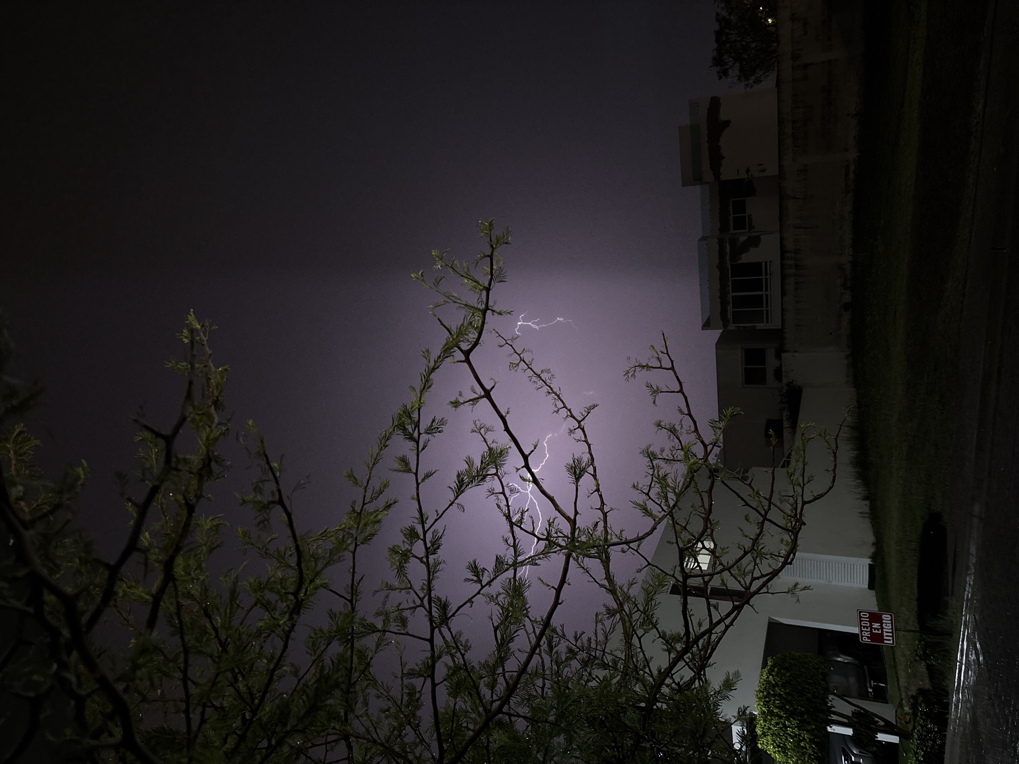 The image shows a nighttime view in San Bernardino Tlaxcalancingo, Mexico, with lightning in the sky. In the foreground, there are trees with sparse green leaves. To the right, a building is visible, with a sign next to it written in Spanish that reads "Predio en Litigio" which translates to "Property in Litigation". The right side of the image is dark and possibly wet from rain. The lightning provides the primary source of light, illuminating the sky and the surroundings.