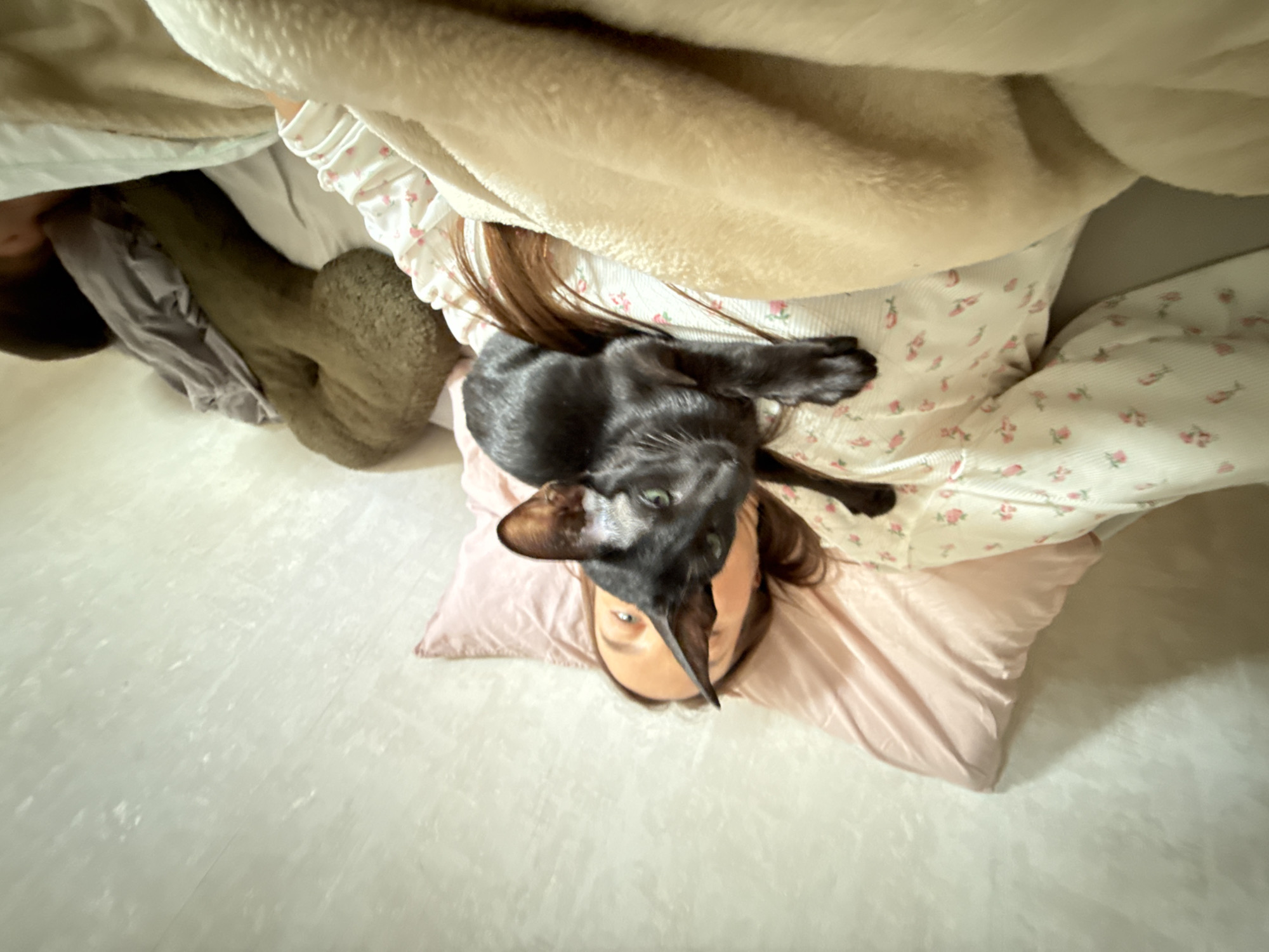 This indoor photograph, likely taken in Chaikovsky, Russia, captures a cozy domestic scene from a high angle. The primary subjects are a person and a black cat.
The person, appearing to be a woman with long, brown hair, is lying down, partially covered by a light beige, fluffy blanket. She is wearing a light-colored top with a small pink floral pattern. Her head rests on a light pink pillow, with her face visible looking upwards towards the camera.
A sleek black cat is resting on the person's head and hair. The cat, possibly an Oriental Shorthair due to its distinctive large ears and angular head, has striking green eyes and is looking directly at the camera. Its body is partially covered by the blanket, suggesting it is snuggled close to the person.
The activity taking place is a moment of rest or relaxation, with the cat comfortably perched on its human companion. The scene conveys a sense of peaceful companionship.
Notable details include the warm, inviting tones of the bedding and blankets, suggesting a comfortable environment. The lighting appears soft, indicating it might be daytime indoors or under artificial light. The floor in the foreground is light-colored. There is no visible text in the image. The overall impression is one of a quiet, intimate moment shared between a pet and its owner.