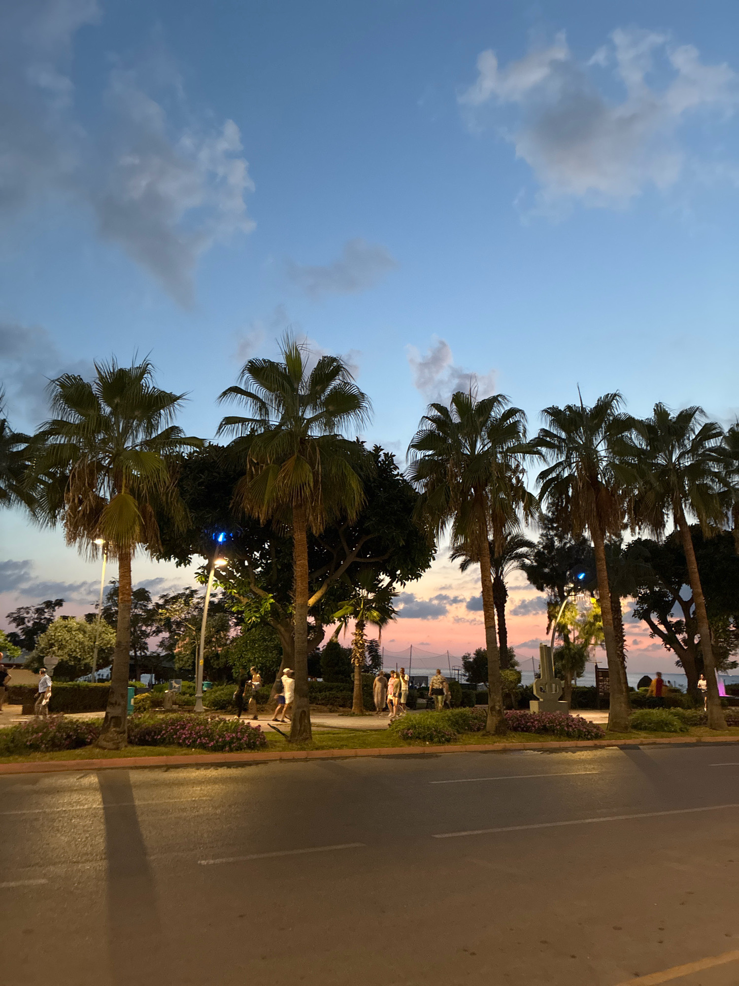 This is an exterior, eye-level, vertical, medium shot captured in Alanya, Turkey. The scene depicts a palm-lined promenade bordering a street at dusk. The sky is a gradient of blues and soft pinks, with scattered clouds. Several palm trees, some tall and slender, others shorter and fuller, dominate the foreground and middle ground, casting long shadows on the asphalt road in front.
A sidewalk runs alongside the road, separated by a planter filled with purple flowers and greenery. People are strolling along the promenade, some in groups, others individually. A few streetlights are visible, one with a blue light at the top. In the background, glimpses of the sea can be seen between the trees, with a faint coastline visible. The overall atmosphere is serene, suggesting a typical evening scene in a coastal city.