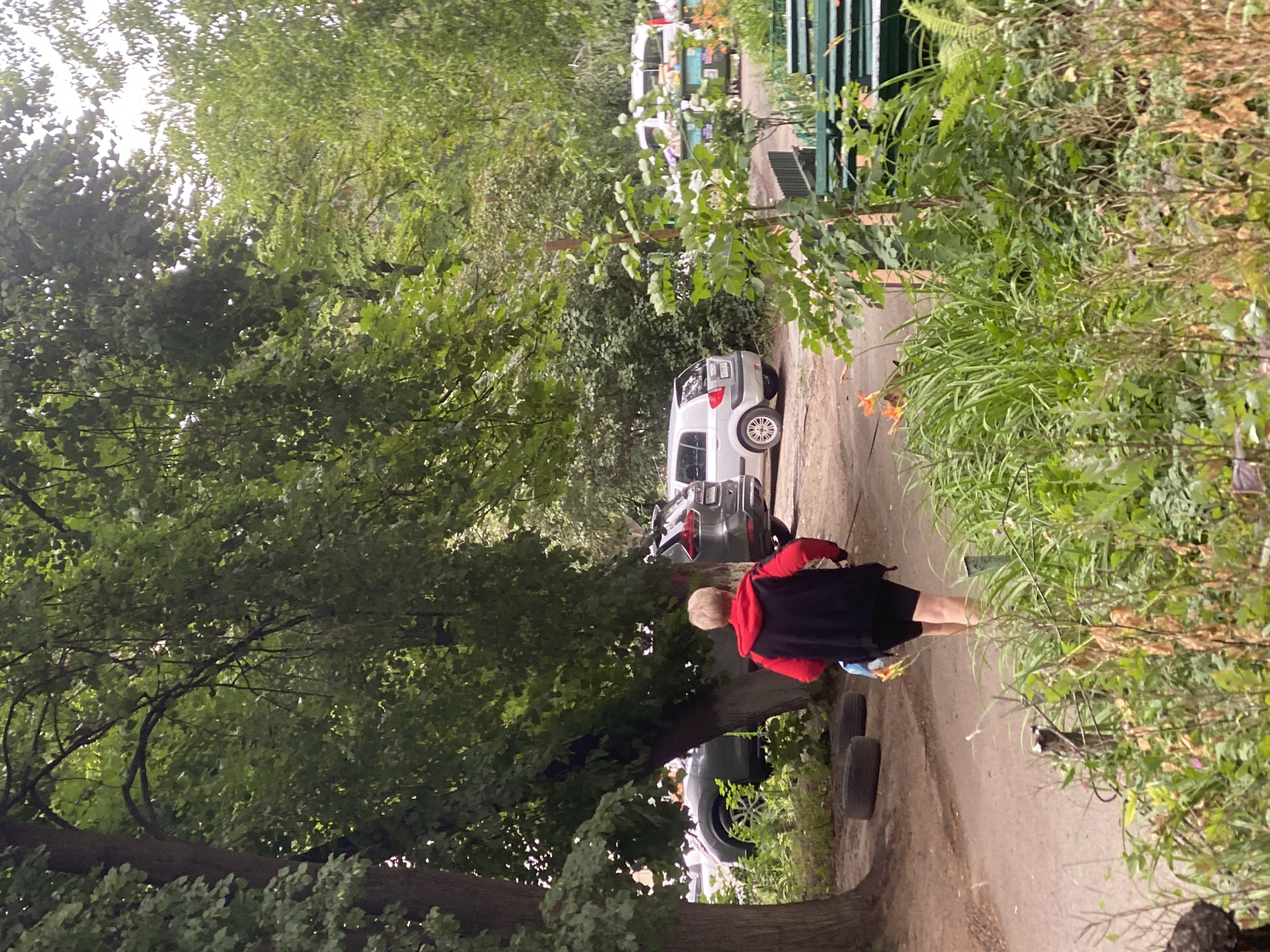 A person is walking away from the camera on a dirt path in a residential area in Poltava, Ukraine. The person is wearing a red hooded jacket with black accents and black shorts. They are carrying a blue bag in their left hand and a colorful object, possibly a kite, in their right hand. The path is lined with overgrown green vegetation, including tall grass and some plants with orange flowers. In the background, several cars are parked, including a silver hatchback, a dark gray SUV, and some white vans. There are also green benches and overflowing trash bins visible. Tall trees with lush green leaves provide shade over the scene, and the ground is covered with dirt and some fallen leaves. The overall impression is a somewhat neglected but verdant urban environment.
