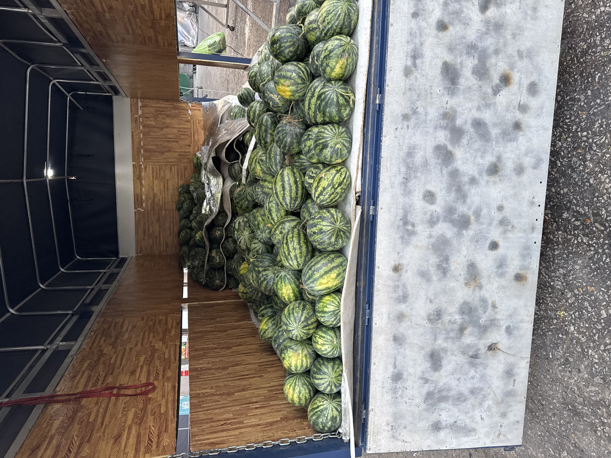 This media file captures a vibrant scene of numerous watermelons being transported or handled in Da Lat, Vietnam. The image is taken looking into the open back of what appears to be a cargo truck or a large delivery van.
The primary subjects are hundreds of watermelons, densely packed and piled high within the vehicle's cargo area. They display a typical appearance with dark green rinds and lighter green or yellowish stripes. Many of the watermelons also feature distinct yellow patches, a common indicator of the spot where they rested on the ground as they grew.
The interior of the vehicle features a floor covered with brown, wood-patterned panels, suggesting a finished or lined cargo space. On the left side, a metallic frame structure is visible, possibly part of the vehicle's support or a shelving system, accompanied by dark fabric lining along the walls. A red rope is coiled on the wooden floor towards the left side. To the right, a large, grey metal door or side panel of the truck is partially open, revealing more watermelons stacked close to the edge. This metal surface exhibits various dark smudges and some reddish-brown rust spots, indicating wear and use.
The overall scene suggests the commercial transport or a bulk delivery of watermelons. The activity is focused on the movement or storage of this large fruit harvest. The clear, bright lighting indicates it is daytime. The ground outside the truck appears to be dark asphalt. There is a small, blurry area that might contain text on a sign or packaging, partially visible beneath some watermelons on the right, but it is illegible.