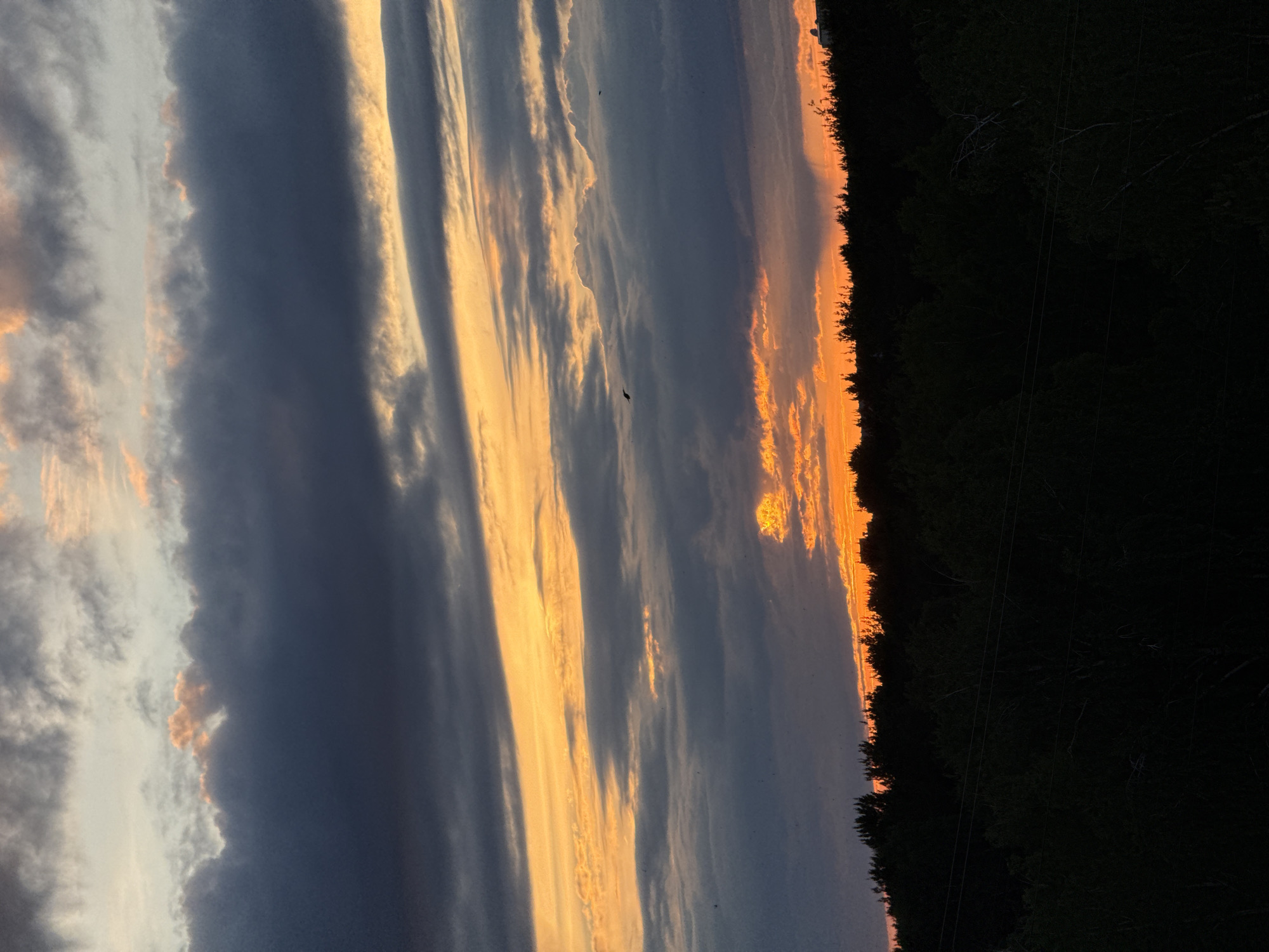 The image captures a sunset over a forest, likely taken in Chaikovsky, Russia. The sky is filled with long, vertical bands of clouds, some dark blue-gray and others illuminated with orange and yellow hues from the setting sun. The forest appears as a dark silhouette against the orange-tinged horizon. Power lines are visible running through the trees. Two birds are flying in the sky.