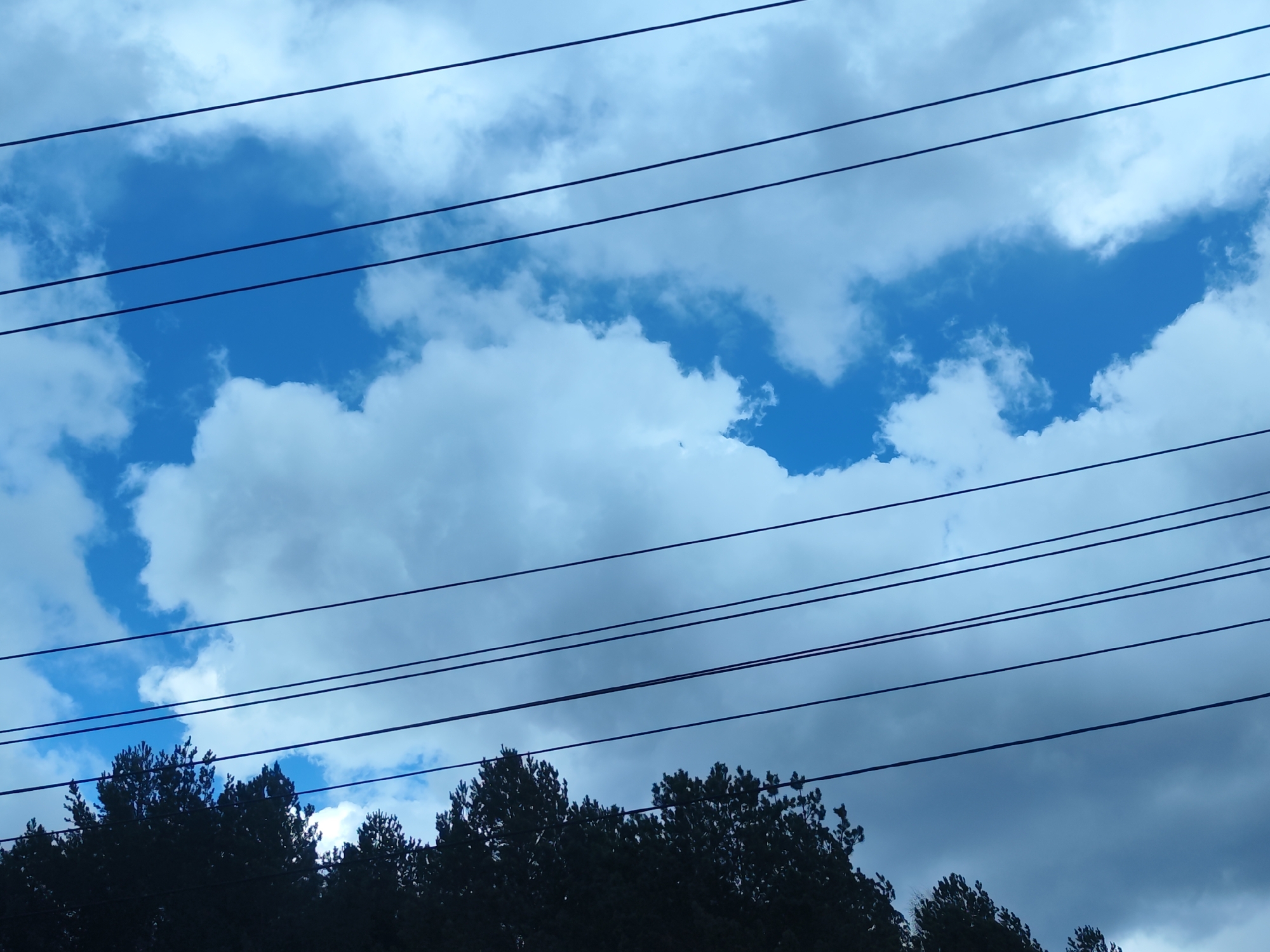 A daytime image captures a sky with prominent utility wires and a partial view of treetops. The sky is partly cloudy, displaying significant areas of vibrant blue amidst white and light grey clouds. Some clouds are bright and fluffy, while others appear denser and more spread out.
Multiple dark, thin utility wires stretch horizontally across the frame, slightly ascending from left to right. There are at least five distinct wires visible, running parallel to each other.
Along the bottom edge of the image, the dark, silhouetted canopy of conifer trees, likely pines or spruces, provides a jagged, natural border. The trees are heavily shadowed or backlit, appearing as dark masses against the brighter sky, with individual leaves or branches indistinguishable.
No people or specific activities are depicted. The scene emphasizes the interplay between natural elements—the dynamic sky and the static trees—and human infrastructure in the form of power lines. The time of day appears to be during daylight hours due to the clear blue sky and illuminated clouds. There is no visible text. This scene is observed in Chaikovsky, Russia.