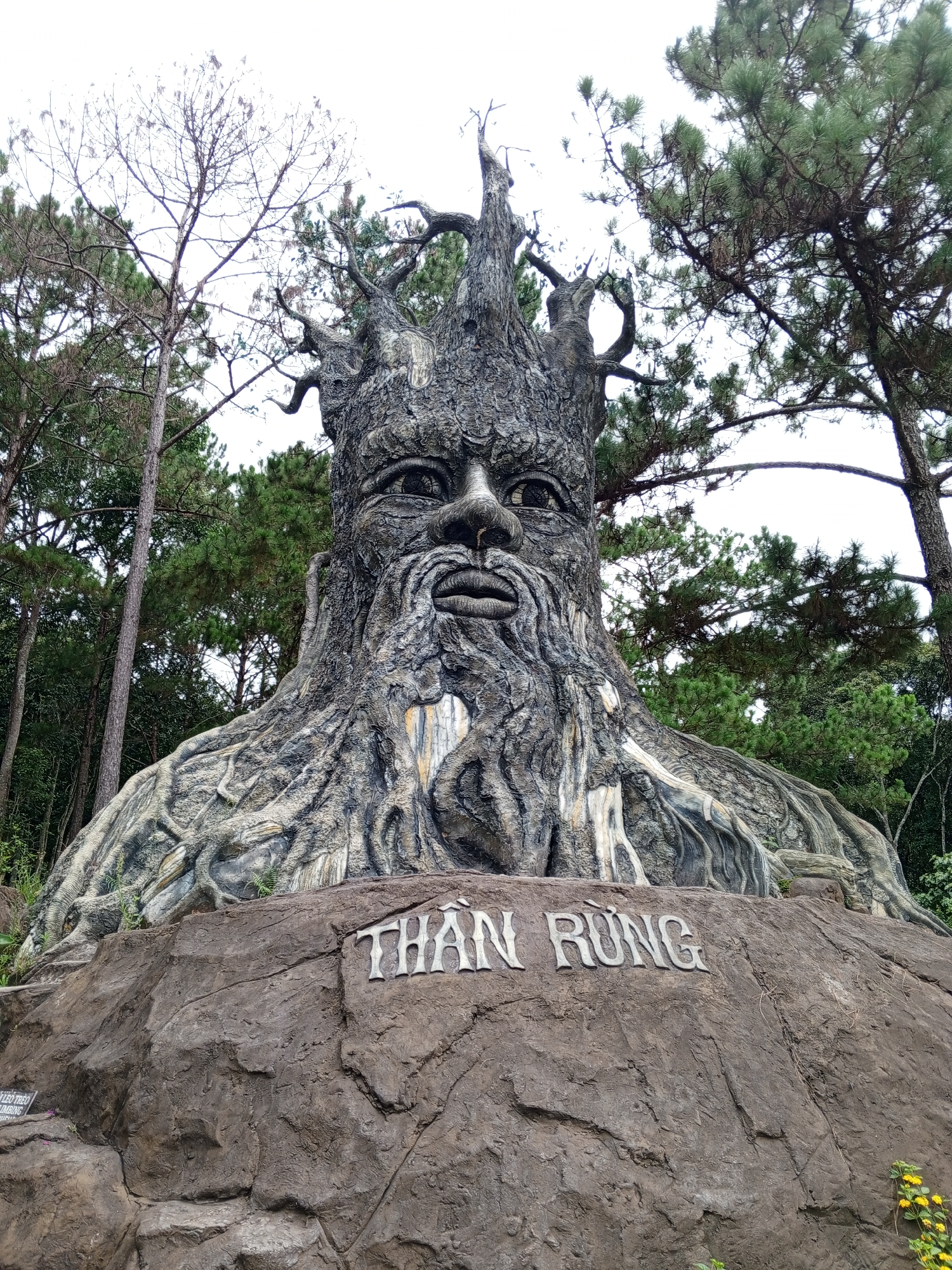 A large, sculpted monument of a tree spirit is positioned on a rocky outcrop. The tree spirit has a stern face carved into its bark, with a beard formed by roots. The words "THẦN RỪNG" are inscribed in metal letters on the rock in front of the statue. The monument is surrounded by pine trees, characteristic of Da Lat, Vietnam. The sky is overcast. The monument is a tourist attraction in Da Lat.