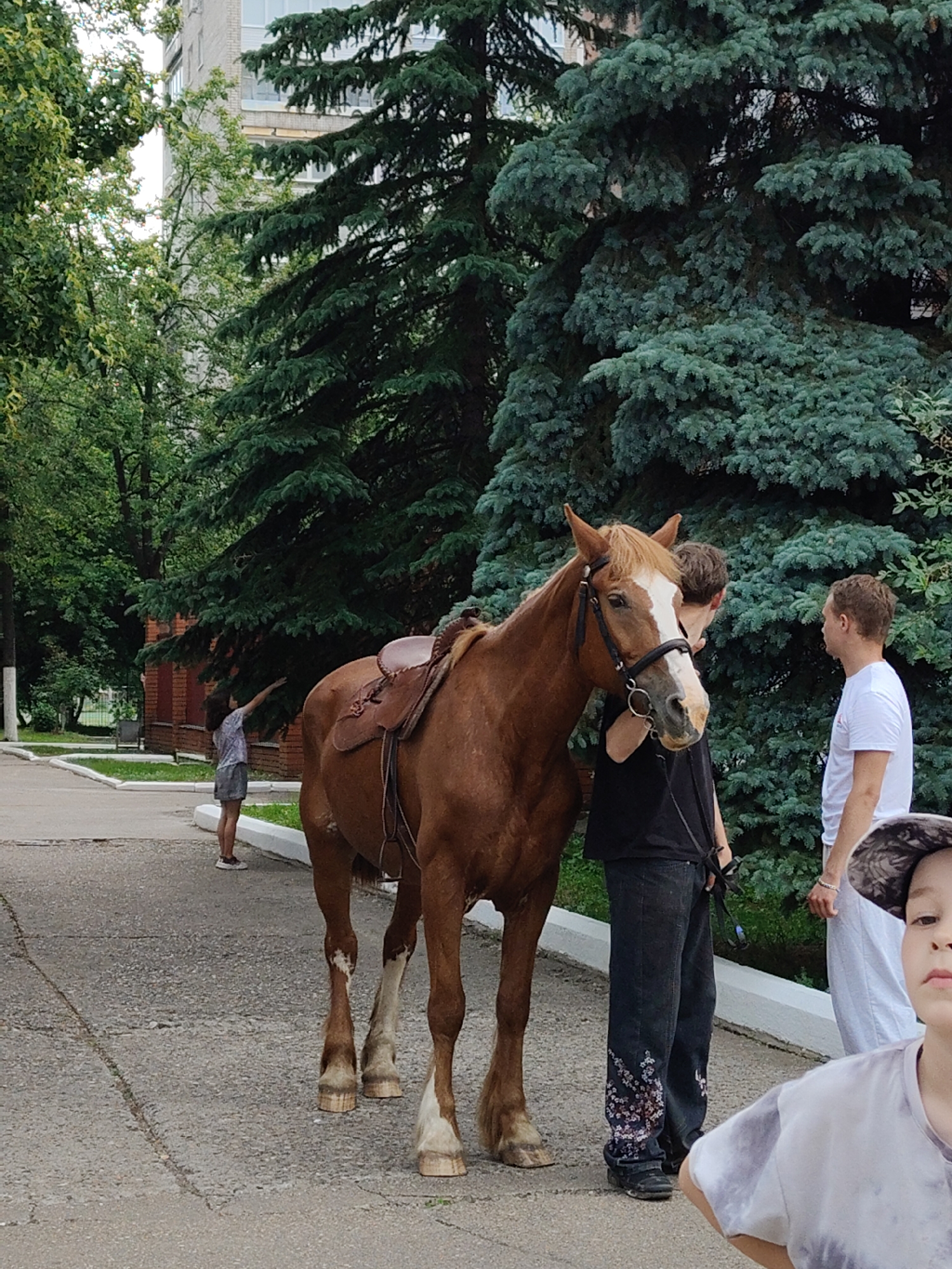In the city of Unknown, Unknown, a brown horse with a saddle stands on a paved path. A young boy wearing a camouflage hat and a tie-dye shirt is in the foreground, partially visible. To the left of the horse, a young girl in a light-colored t-shirt and shorts reaches towards a large evergreen tree. Behind the horse, two young men are standing, one in a black shirt and jeans with floral embellishments, and the other in a white t-shirt. A building and more trees are visible in the background.
