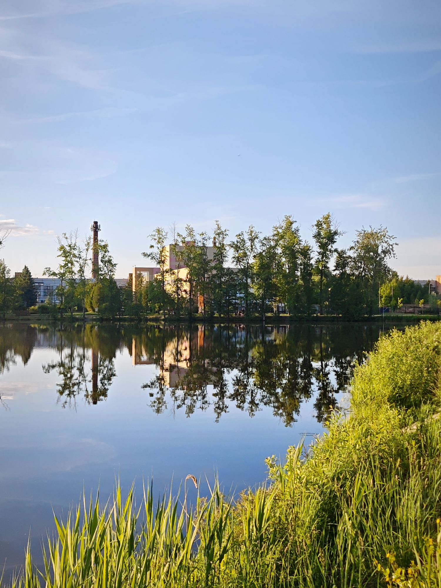 This image depicts a tranquil waterscape in Zaprudnya, Russia, characterized by a calm body of water reflecting its surroundings. The scene appears to be set in the late afternoon or early morning, judging by the warm, golden light illuminating the foreground vegetation and parts of the distant buildings. The sky above is a clear, light blue with subtle, wispy cloud formations.
On the far bank of the water, a dense line of vibrant green deciduous trees stands, partially concealing a collection of light-colored, multi-story buildings, which suggest an industrial or factory complex. A prominent, tall, reddish-brown brick chimney rises above the trees on the left side of the far bank, adding to the industrial character. The still water creates almost perfect mirror-like reflections of the trees, buildings, and the chimney.
The immediate foreground features a lush expanse of bright green grass and reeds, growing abundantly along the water's edge and catching the direct sunlight. There are no people visible, and no discernible text appears in the image. The overall impression is one of natural beauty and calm, with the reflective water being a dominant and peaceful element of the composition.