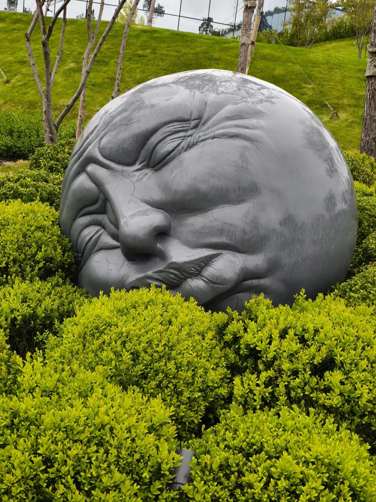 A large, spherical, gray sculpture of a human face with a grimacing expression is nestled in bright green bushes. The sculpture displays furrowed brows, squinted eyes, a prominent nose, and pursed lips. The scene appears to be outdoors in a garden or park setting. The green bushes surround the sculpture, and in the background, there is a grassy hill, trees, and a building with a reflective glass facade. This sculpture is located in Krasnodar, Russia.