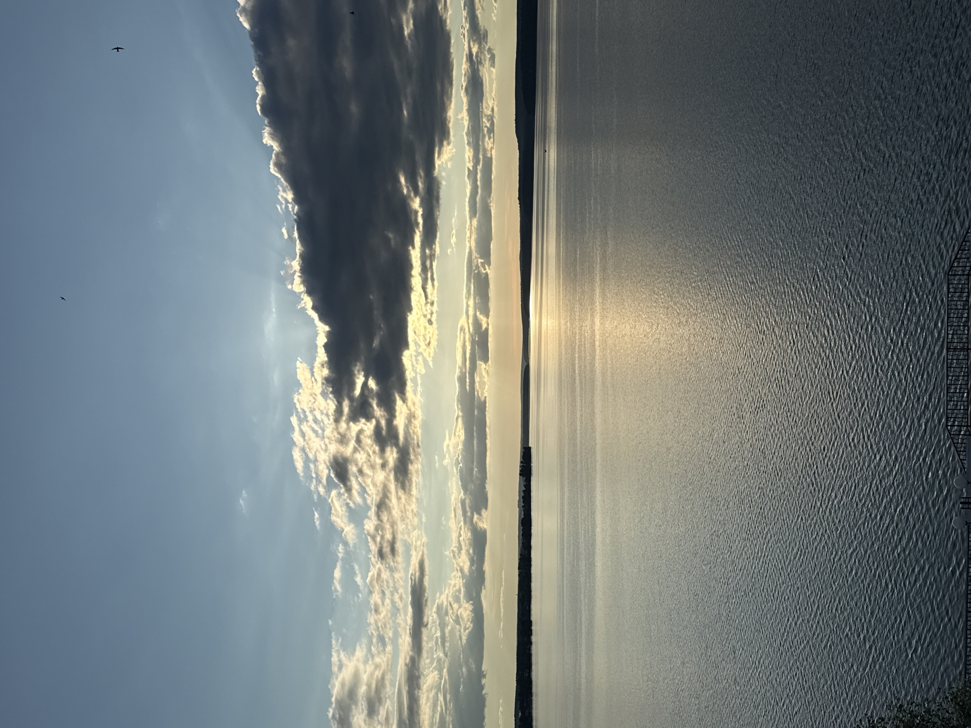The image captures a panoramic natural landscape at either sunrise or sunset, featuring a vast body of water under a dramatic sky.
The upper portion of the frame is dominated by the sky, which transitions from a clear, light blue on the left to an assembly of dark, voluminous clouds on the right. These clouds exhibit bright, golden-white edges where they are illuminated by the low sun, with visible sunrays breaking through in certain areas. Two small, dark bird silhouettes are visible against the clear blue sky in the upper left.
A distinct horizon line separates the sky from the water, marked by a thin, dark strip of distant land or shoreline stretching across the middle of the image.
The lower half of the frame is occupied by a large body of water, likely a reservoir or wide river, whose surface is covered with numerous small ripples. A prominent, elongated reflection of bright, golden sunlight extends across the water from the horizon towards the foreground, indicating the low position of the sun. On the far right edge of the water, a dark, grid-like structure, possibly a pier or a fence, is partially visible, with a hint of dark green foliage in the very bottom right corner.
The scene depicts a peaceful moment with notable dramatic lighting characteristic of dawn or dusk. No activity beyond the birds flying is distinctly visible. No text is present in the image. Given the location context of Votkinsk, Russia, this is likely a view of the Votkinsk Reservoir.