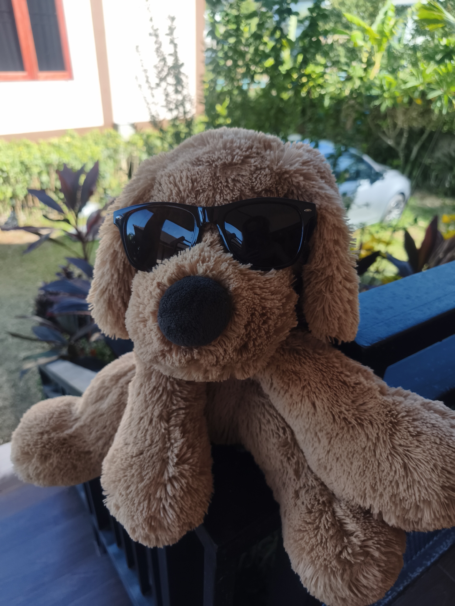 A brown plush dog toy wearing black sunglasses sits on a dark blue wooden railing outdoors. The toy is centered in the frame, with its front paws hanging over the edge of the railing. Behind the railing, there is lush greenery and a glimpse of a white car. In the background, there's also a light-colored building with windows trimmed in red. The scene appears to be in a residential area, possibly a balcony or porch. The location is Baan Mae Nam, Thailand.