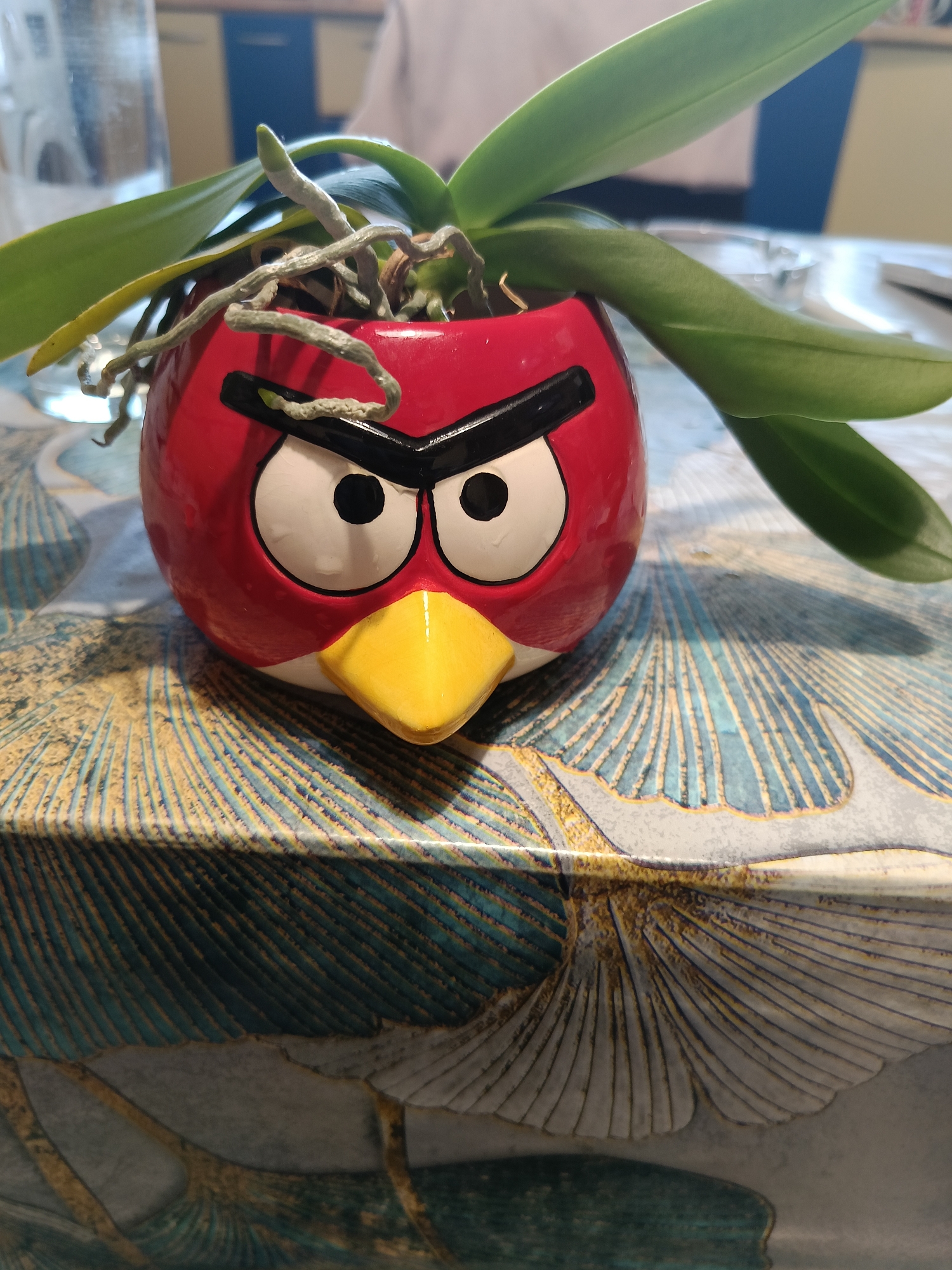The image shows a close-up of a red, Angry Birds-themed ceramic planter containing an orchid. The planter has white eyes with black pupils and a yellow beak. The orchid has green leaves and aerial roots. The planter is placed on a table with a patterned tablecloth. In the background, a glass of water and a glimpse of a person in a white shirt are visible. The scene appears to be indoors, on a table. There is no indication of a specific location in the city of Varna, Bulgaria, or any other city.