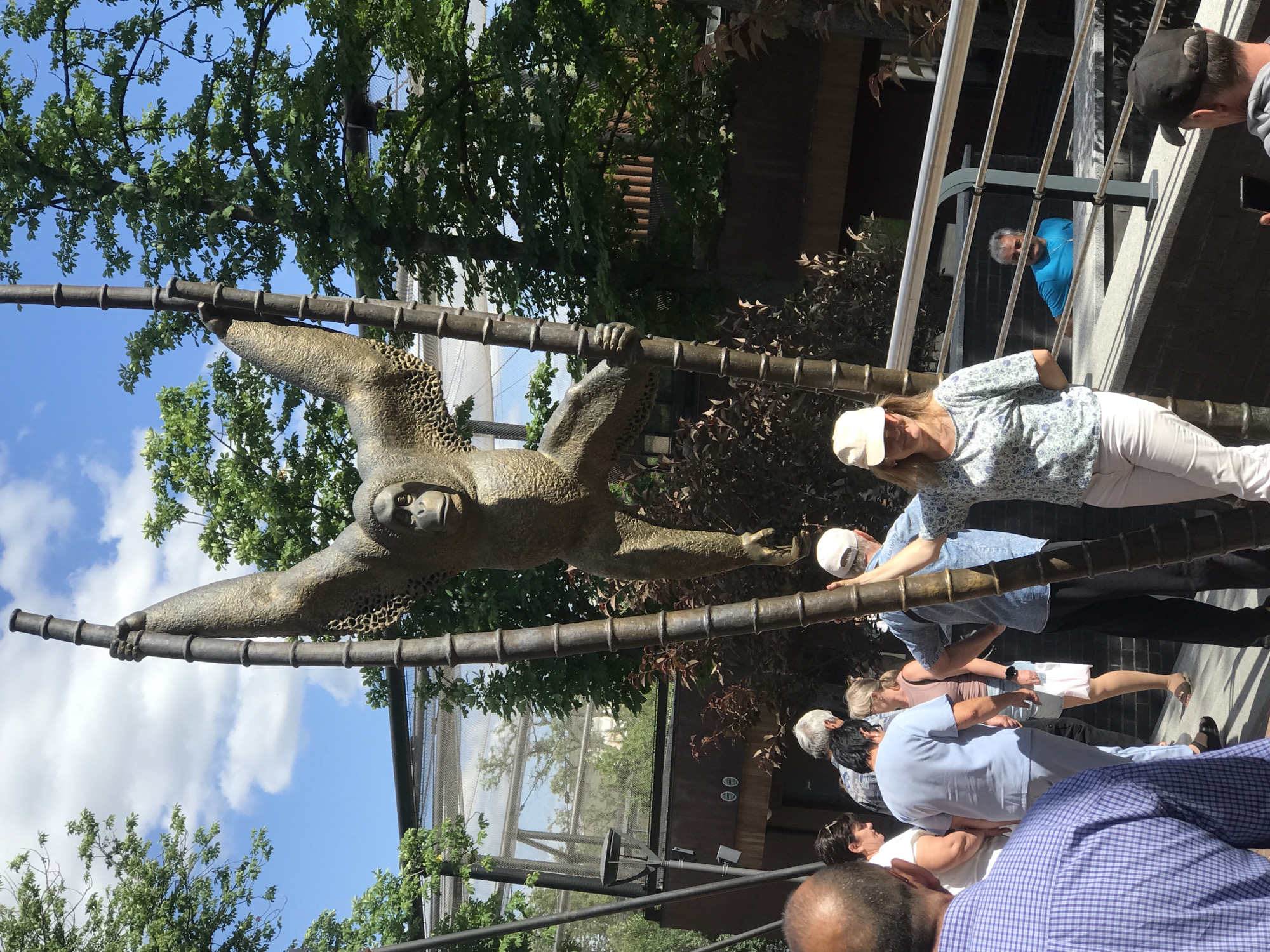 In the city of Kharkiv, Ukraine, a bronze statue of an orangutan hangs from two large poles resembling bamboo stalks. The statue depicts the orangutan in a dynamic pose, with one arm raised and the other gripping a pole. The background shows a zoo enclosure with trees and a clear blue sky. A group of people are gathered around the statue, appearing to be visitors observing the artwork. Some are looking at the statue, while others are engaged in conversation. The scene suggests a bright, sunny day at a public attraction.