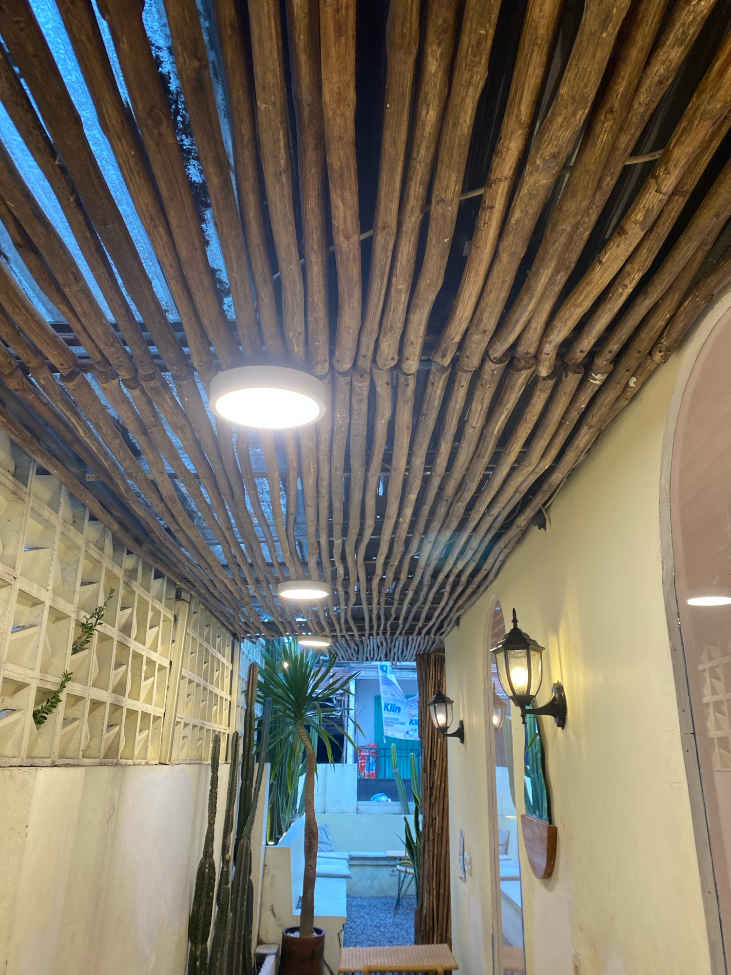 The image captures a ceiling made of numerous thin, parallel wooden logs, creating a rustic and natural canopy. Below this ceiling, a walkway is illuminated by recessed circular lights and a traditional black lantern mounted on a pale yellow wall. To the left, a white wall with a decorative grid pattern is visible, with a small green plant growing through it. Several tall, slender cacti are arranged along the base of this wall. To the right, the pale yellow wall continues, featuring another black lantern and a decorative wooden piece shaped like a succulent plant in a pot. Further down the walkway, a tall potted palm tree stands near a doorway that reveals a glimpse of an outdoor seating area with white benches and gravel flooring. The overall scene suggests an outdoor or semi-outdoor space with a bohemian or naturalistic aesthetic.