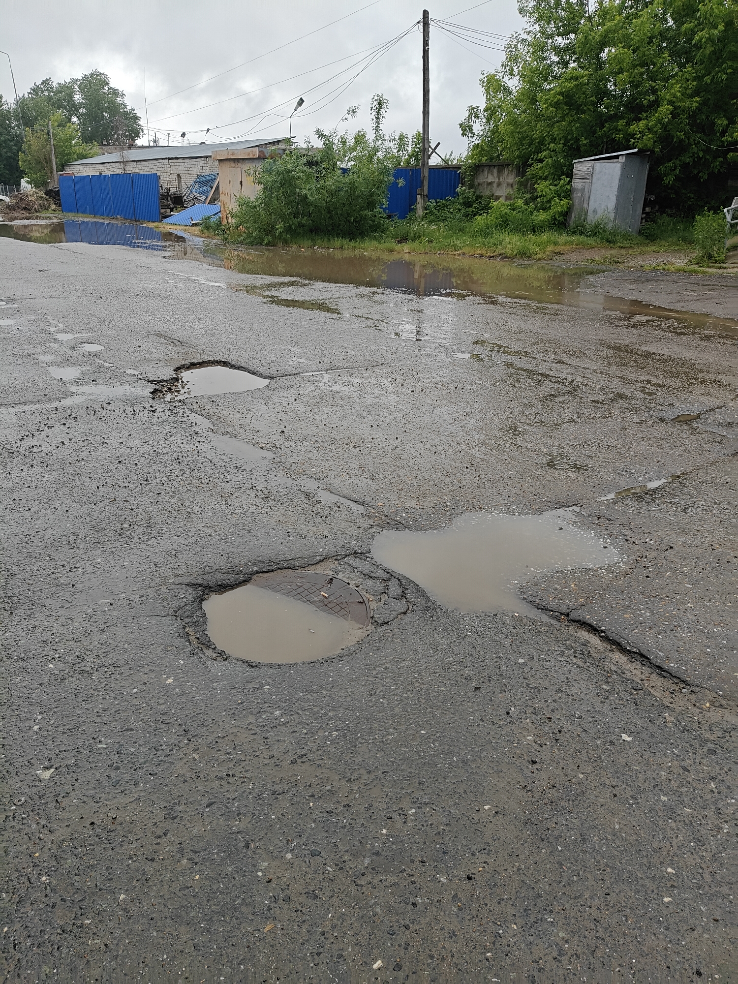 The image depicts a heavily damaged asphalt road in the city of Chaikovsky, Russia. The road surface is riddled with potholes, several of which are filled with standing water. A manhole cover is visible in one of the larger potholes. The road is wet, suggesting recent rain. In the background, there is a low building with a blue fence. There is also dense green vegetation along the side of the road, including trees and bushes. There is also a utility pole visible in the background. The sky is overcast, indicating a cloudy day. There is no visible pedestrian or vehicle traffic. The overall scene appears to be an area with poor road maintenance.