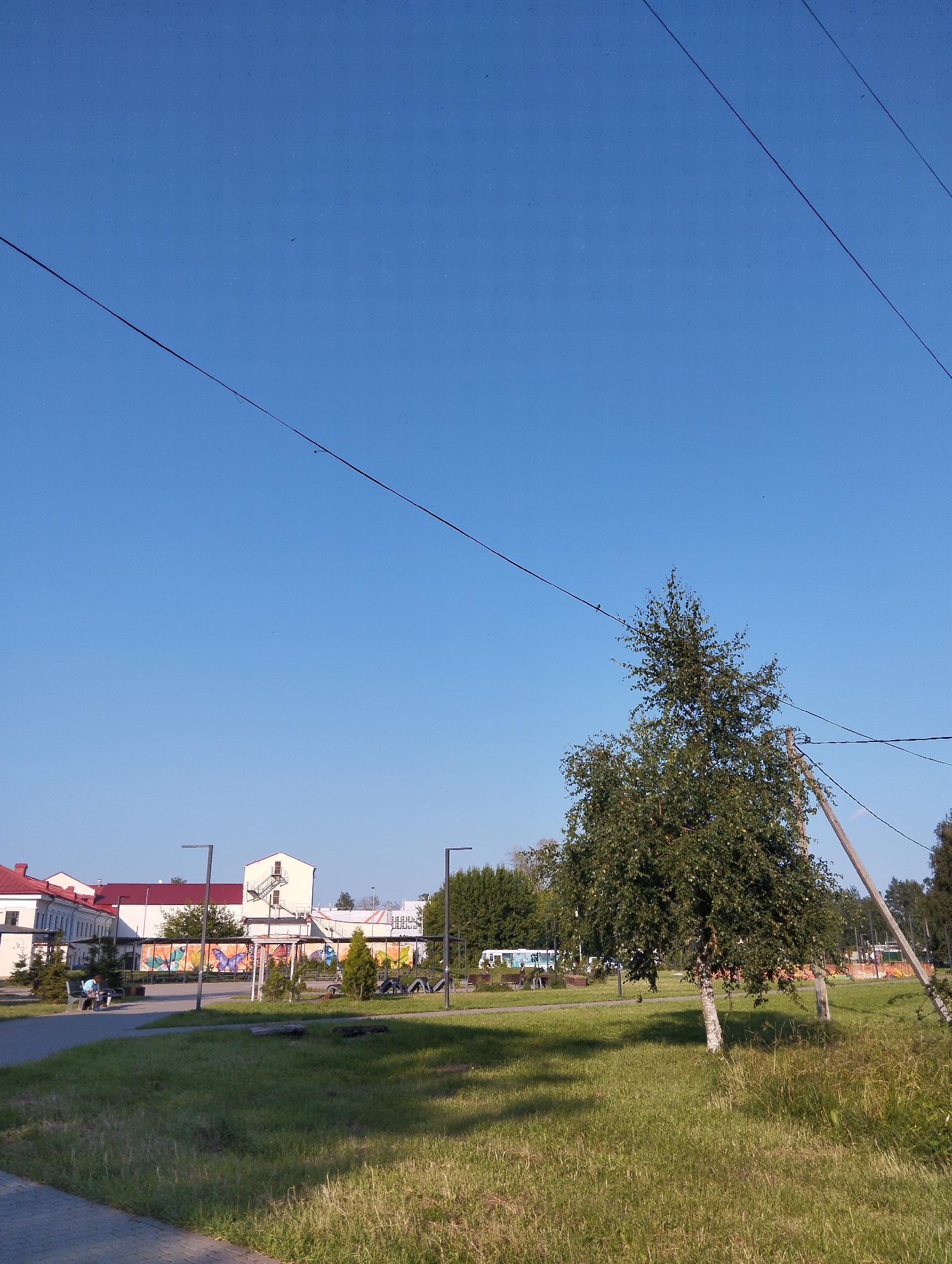 A serene outdoor scene unfolds under a clear blue sky in Kingisepp, Russia. The image captures a sunlit park area with a paved walkway in the foreground. To the left, a low building with a red tiled roof is visible, adjacent to other structures and a colorful mural featuring butterflies. A person sits on a bench in the park, facing away from the camera.
In the mid-ground, a slender birch tree stands prominently, its green leaves rustling gently. Beyond the tree, a wooden utility pole leans slightly, with power lines stretching across the frame. Further in the background, a white bus is parked, and a sparse line of trees borders the area. The ground is covered in a mix of short green grass and drier, taller stalks of grass. The overall impression is one of a peaceful day in a well-maintained urban park.