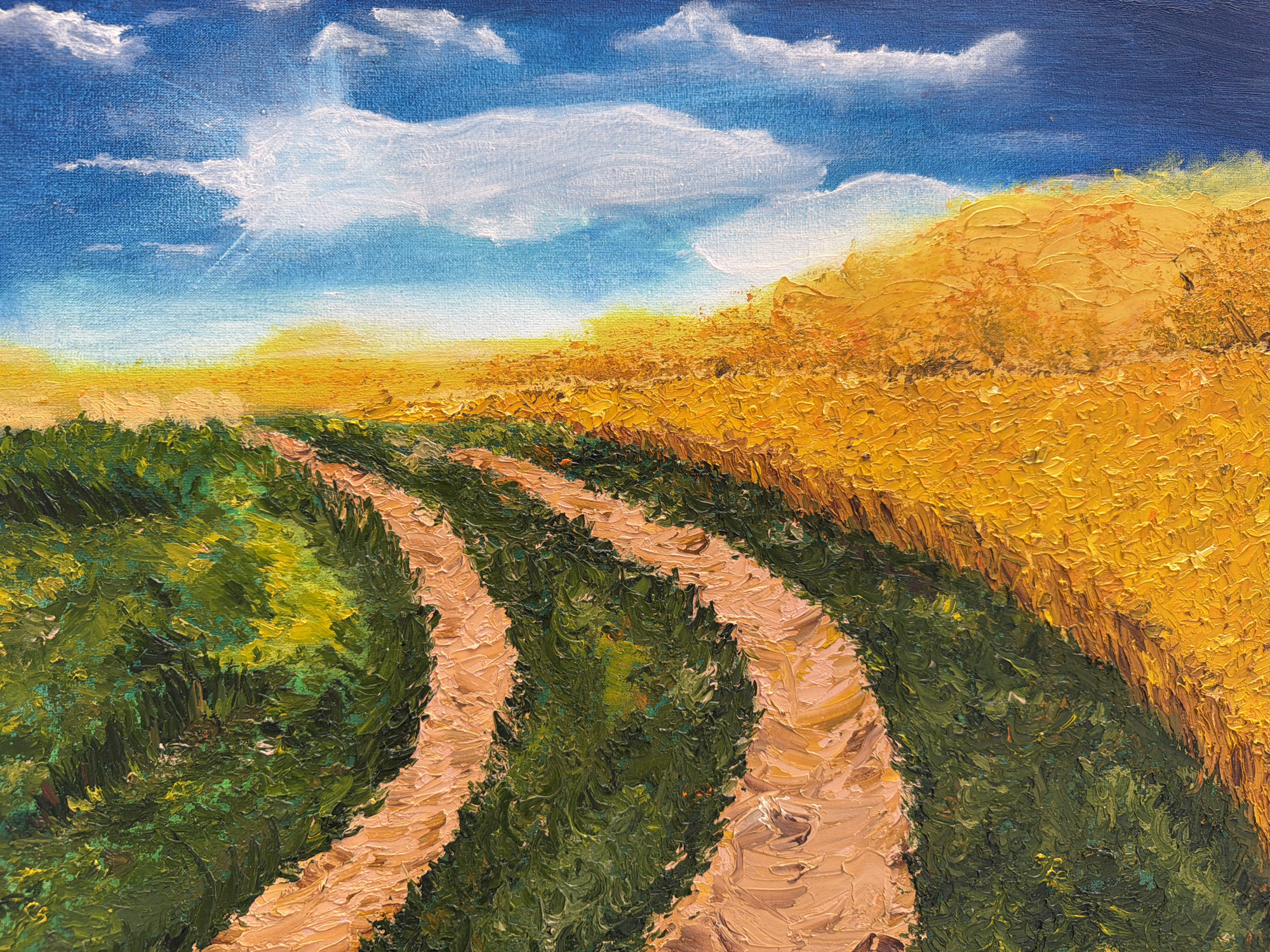 This is an oil painting depicting a rural landscape under a bright blue sky with fluffy white clouds. A dirt path winds through lush green foliage, bordered on the right by a vibrant field of golden crops, likely wheat or sunflowers, reaching towards the horizon. The painting is characterized by thick, impasto brushstrokes, giving the scene a textured and dynamic feel. There are no people or buildings visible in the painting. The scene is a generic representation of a countryside, and there is no specific indication that it is located in Kyiv, Ukraine.