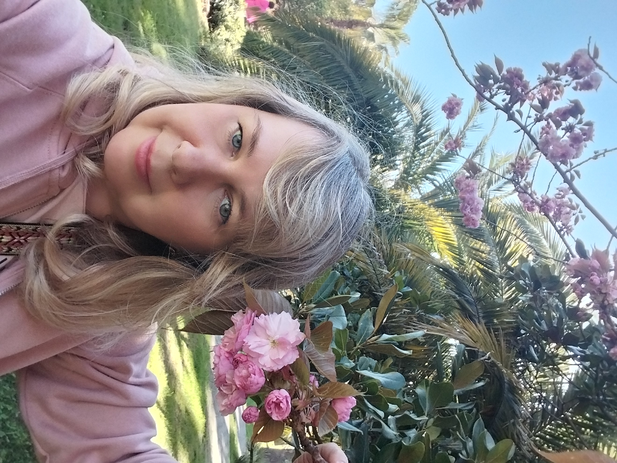 A woman captures a vertically oriented selfie outdoors in what appears to be Sochi, Russia. She has long, wavy blonde hair with some lighter highlights, and striking blue-green eyes. Her expression is a soft, pleasant smile, and she is wearing a light pink or mauve hooded sweatshirt.
In the foreground, the woman holds a small branch adorned with vibrant pink, double-petaled flowers, characteristic of cherry blossoms (Sakura). Her hand is barely visible holding the stem.
The background reveals a lush, green outdoor environment. Dominating the middle ground and background are several large palm trees with distinct fronds, indicative of a subtropical climate. Other green foliage and bushes are also visible. The sky above is clear and bright blue, suggesting a sunny day. The overall impression is one of relaxation and appreciation for nature. There is no visible text in the image.