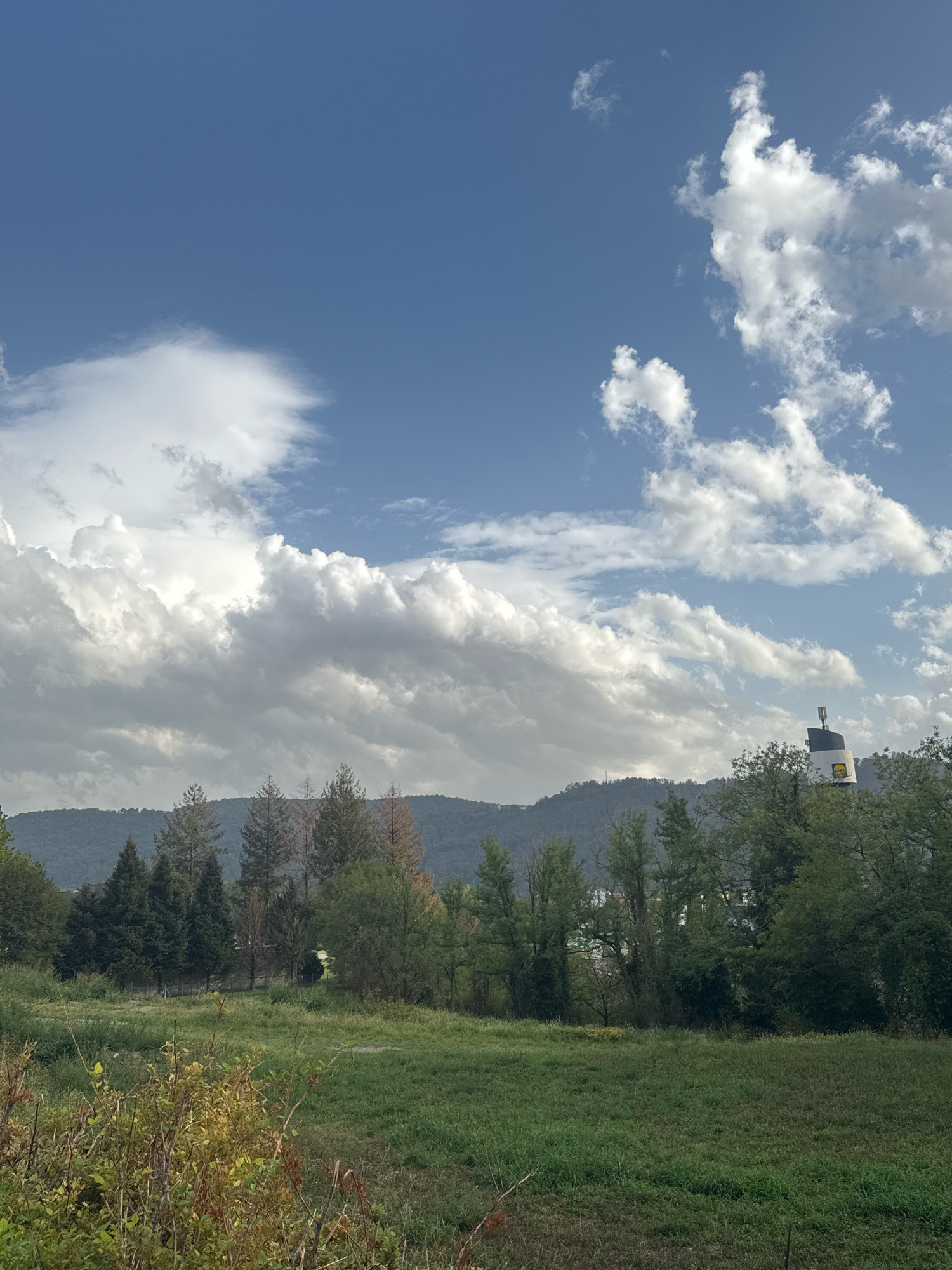 This is a wide-angle, eye-level shot of a rural landscape under a bright, cloudy sky. In the foreground, a grassy field is dotted with yellow and brown weeds. Beyond this, a line of trees, varying in height and density, forms a dense border. Behind the trees, a gentle, treed mountain range dominates the background. To the right of the frame, a modern, cylindrical structure with a yellow band and a black top rises above the treeline. A small, partial yellow logo is visible on the side of this structure. The sky is a vibrant blue, crisscrossed with large, fluffy white clouds, with some darker grey clouds scattered amongst them. The overall impression is of a serene, natural setting on a partly cloudy day.
