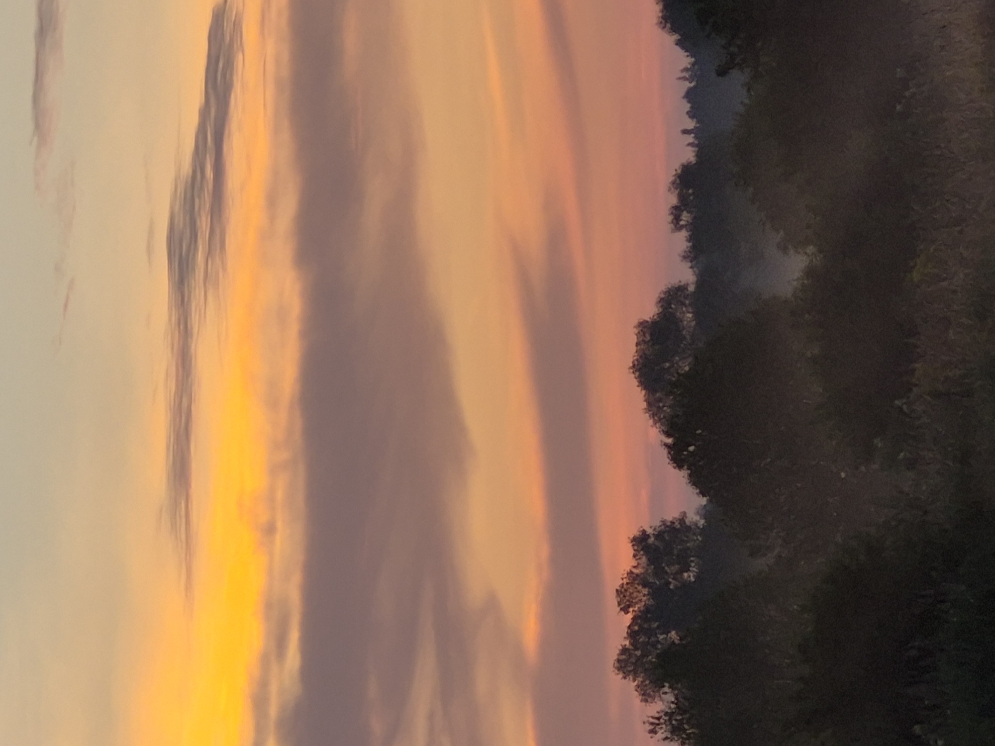 This is a vertical, eye-level, medium shot photograph of a sunset over a wooded landscape. The sky is filled with horizontal bands of color, transitioning from bright yellow and orange near the horizon to softer pink and pale yellow higher up. Thin, wispy clouds are scattered across the sky, reflecting the sunset colors. In the foreground, a dense line of dark trees forms a silhouette against the colorful sky. There is a faint layer of mist or fog visible among the trees, adding a sense of depth and atmosphere to the scene. The overall mood is serene and tranquil. There are no people or specific landmarks visible in the image. The location is identified as Sooblase, Estonia.