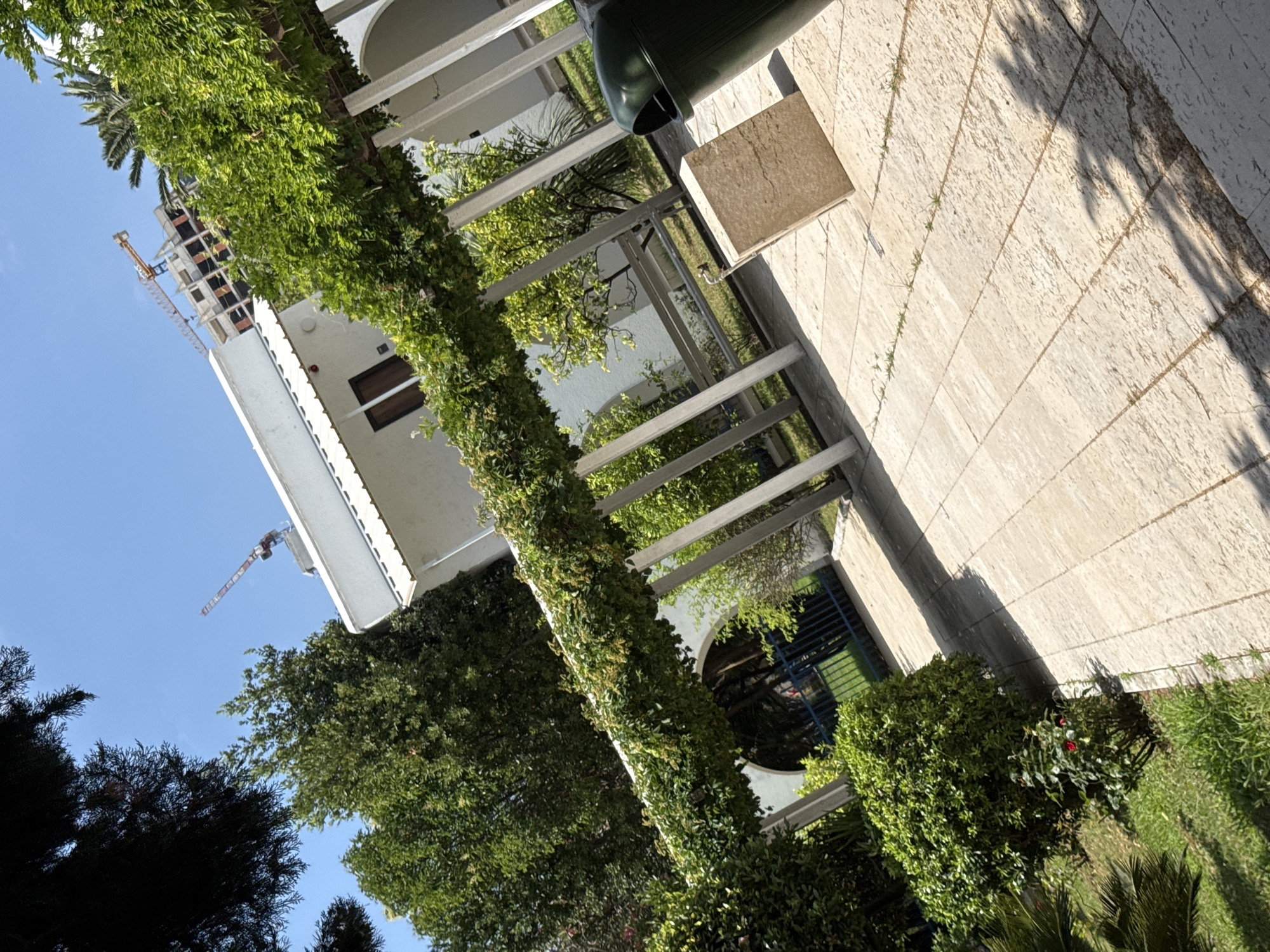 The image captures an outdoor scene on a sunny day in Boreti, Montenegro. The perspective is from a slightly elevated angle, looking down and across a courtyard or garden area. Dominating the foreground is a thick, lush green vine climbing up a white pillar and along a pergola structure, creating a natural canopy.
Beyond the vine-covered pergola, a white building with arched openings is visible, suggesting it might be part of a hotel or residential complex. The building's facade is adorned with white columns. To the left of the building, construction is underway, with a crane visible against the clear blue sky, indicating ongoing development in the area.
The ground is paved with light-colored stone tiles, and interspersed with patches of green grass and various types of foliage. A dark green trash bin, shaped like a half-cylinder, is placed on a light-colored stone block near the pergola. In the middle ground, a darker green metal gate or fence encloses a section of the garden, where more greenery is visible. The sunlight casts sharp shadows across the stone pavement, suggesting it is midday. The overall impression is one of a well-maintained outdoor space with a mix of natural and architectural elements, set against a backdrop of construction and clear skies.