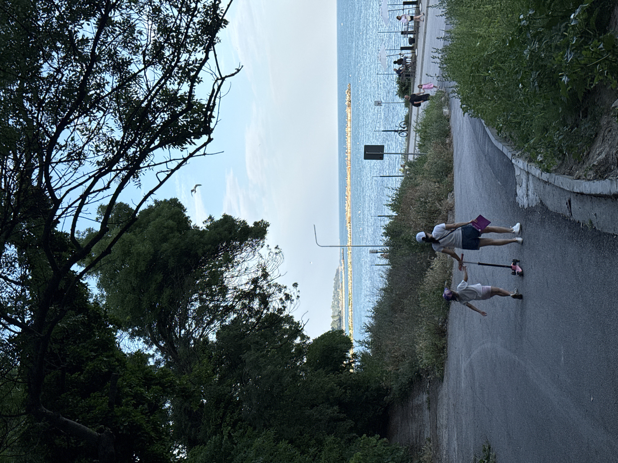 The image depicts a scenic view of the Black Sea coast in Varna, Bulgaria. The foreground is dominated by lush green trees and foliage, with a winding asphalt path leading into the distance. The path curves to the right, bordered by dense vegetation on the left and a concrete retaining wall on the right.
On the path, two individuals are engaged in recreational activities. One person, wearing a white cap, a grey t-shirt, and dark shorts, is standing with a purple folder. Further down the path, a second person, a child, is riding a pink scooter. This suggests a leisurely outing in a park-like setting by the sea.
In the background, the expansive, shimmering blue of the Black Sea stretches to the horizon. A long, breakwater structure extends into the sea, dotted with what appear to be small buildings or structures. Along the coastline, there is a promenade with tables and umbrellas, indicating a public area with cafes or restaurants. People are visible on the promenade, enjoying the seaside ambiance. The sky is a clear, pale blue, suggesting fair weather, and the time of day appears to be late afternoon or early evening, given the soft lighting. A single bird is captured mid-flight against the sky, adding a touch of nature's movement to the scene.