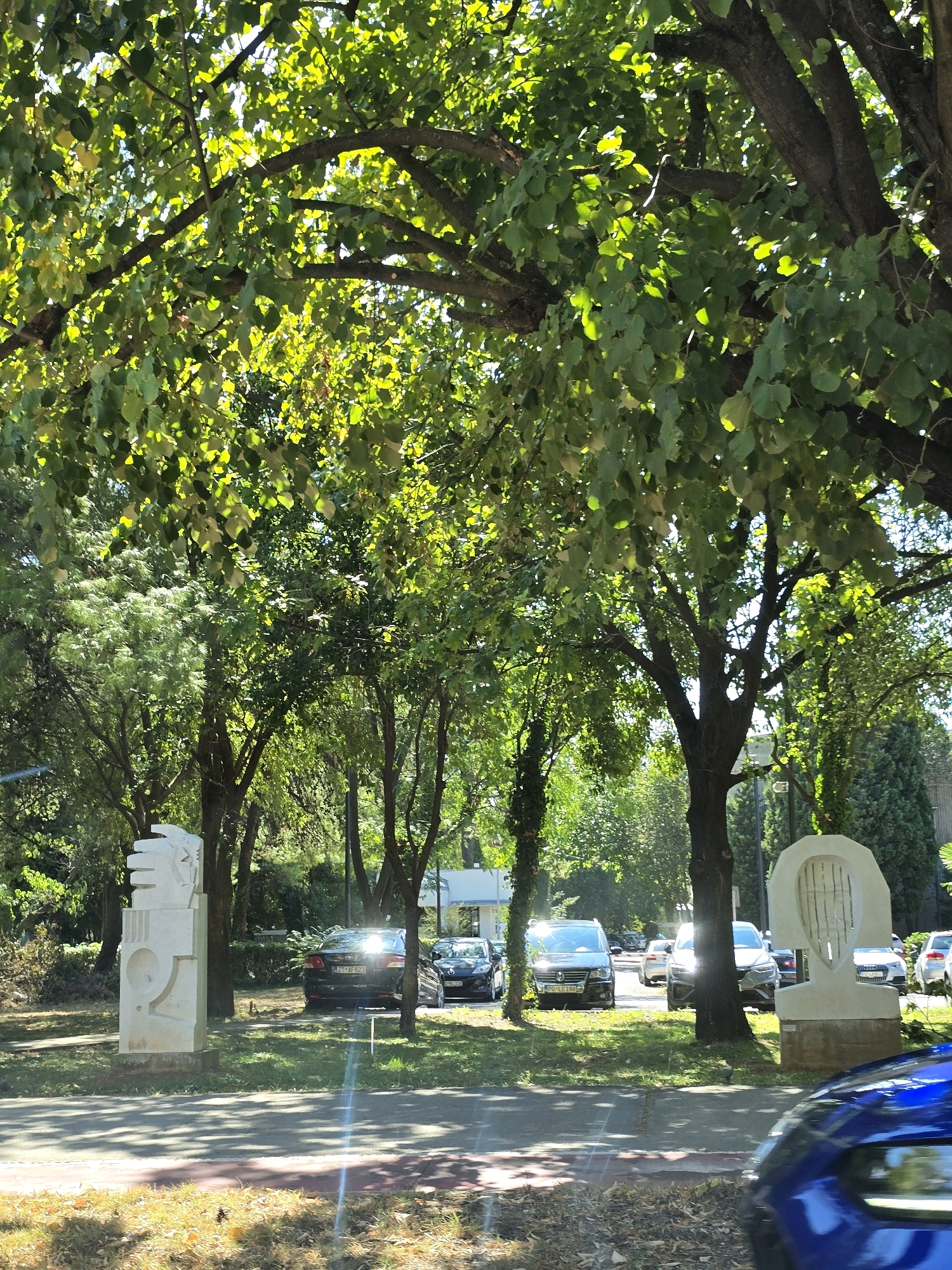 In Podgorica, Montenegro, on a sunny day, a street scene unfolds beneath the dappled shade of lush green trees. In the foreground, a modern white sculpture, abstract in design, stands on the left, while another, resembling a stylized head or helmet, is positioned on the right. Between the sculptures, several cars are parked along the roadside, including a dark sedan with license plate "ZT AF 623", a silver Audi, and a black Volkswagen SUV with license plate "PO LE 198". Further down the road, more vehicles are visible, some parked and some in motion, including a bright blue car partially visible in the lower right corner. The environment is a mixture of urban and natural elements, with paved pathways and grassy areas interspersed with the dense foliage of mature trees.