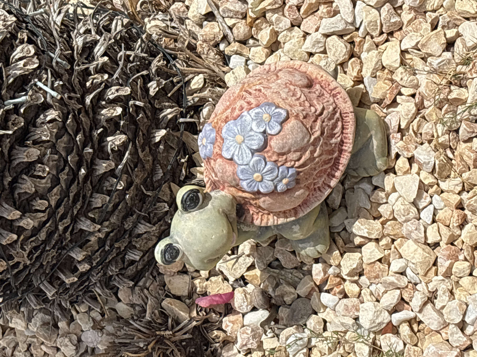 A small, decorative garden turtle statue is positioned on a bed of light-colored gravel. The turtle is made of a light green material for its head and limbs, and its shell is a reddish-pink hue with sculpted blue flowers and a textured pattern. It faces slightly to the left, with its eyes looking forward. Behind the turtle, the base of what appears to be a palm tree is visible, with dry, fibrous material and some thin wires wrapped around it. The environment is outdoors, with shadows suggesting it is daytime. The gravel extends throughout the visible foreground and to the sides of the frame. There is no indication of the city of Orihuela, Spain within the image itself.